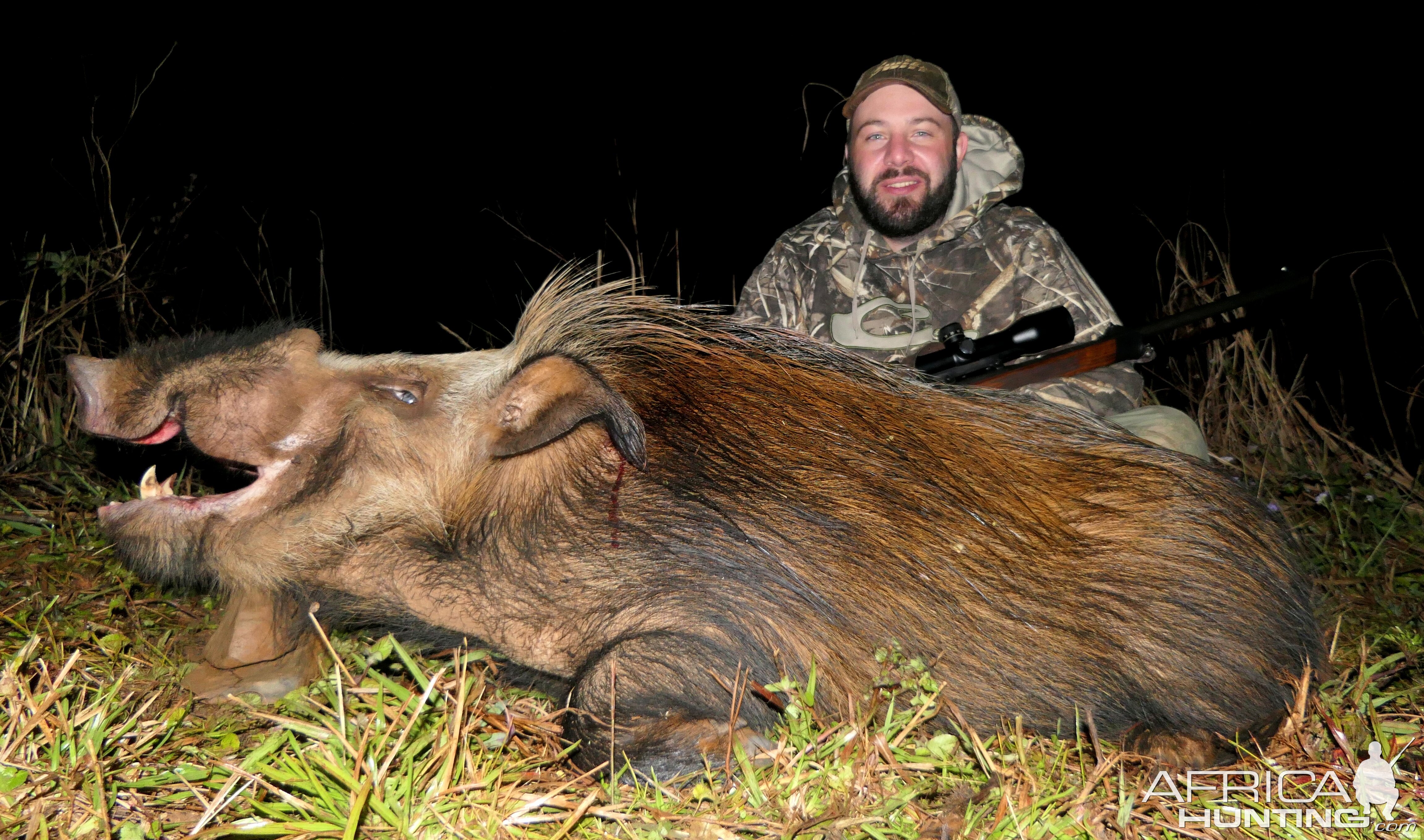 Bushpig Hunt South Africa