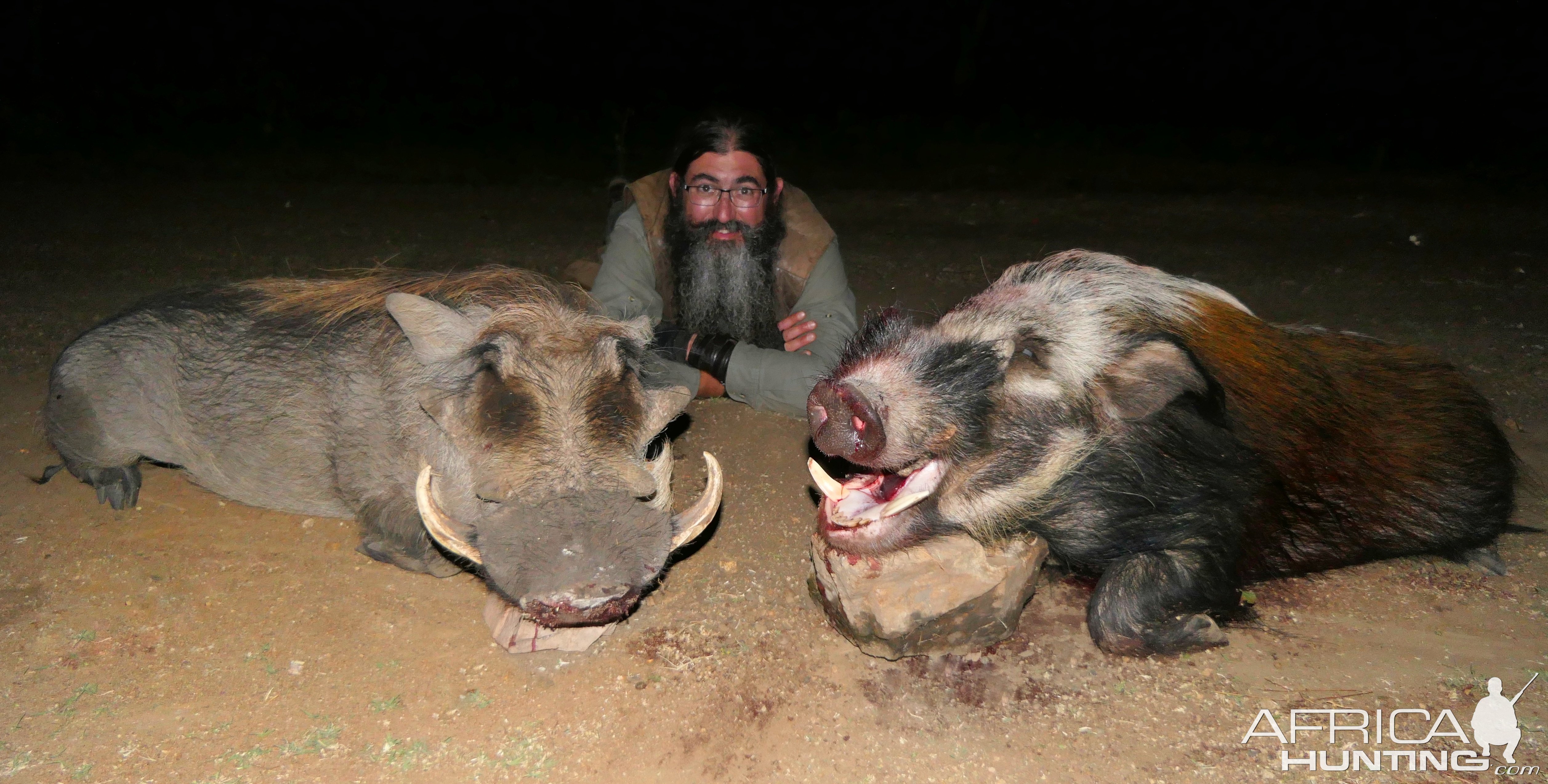 Bushpig Hunt South Africa