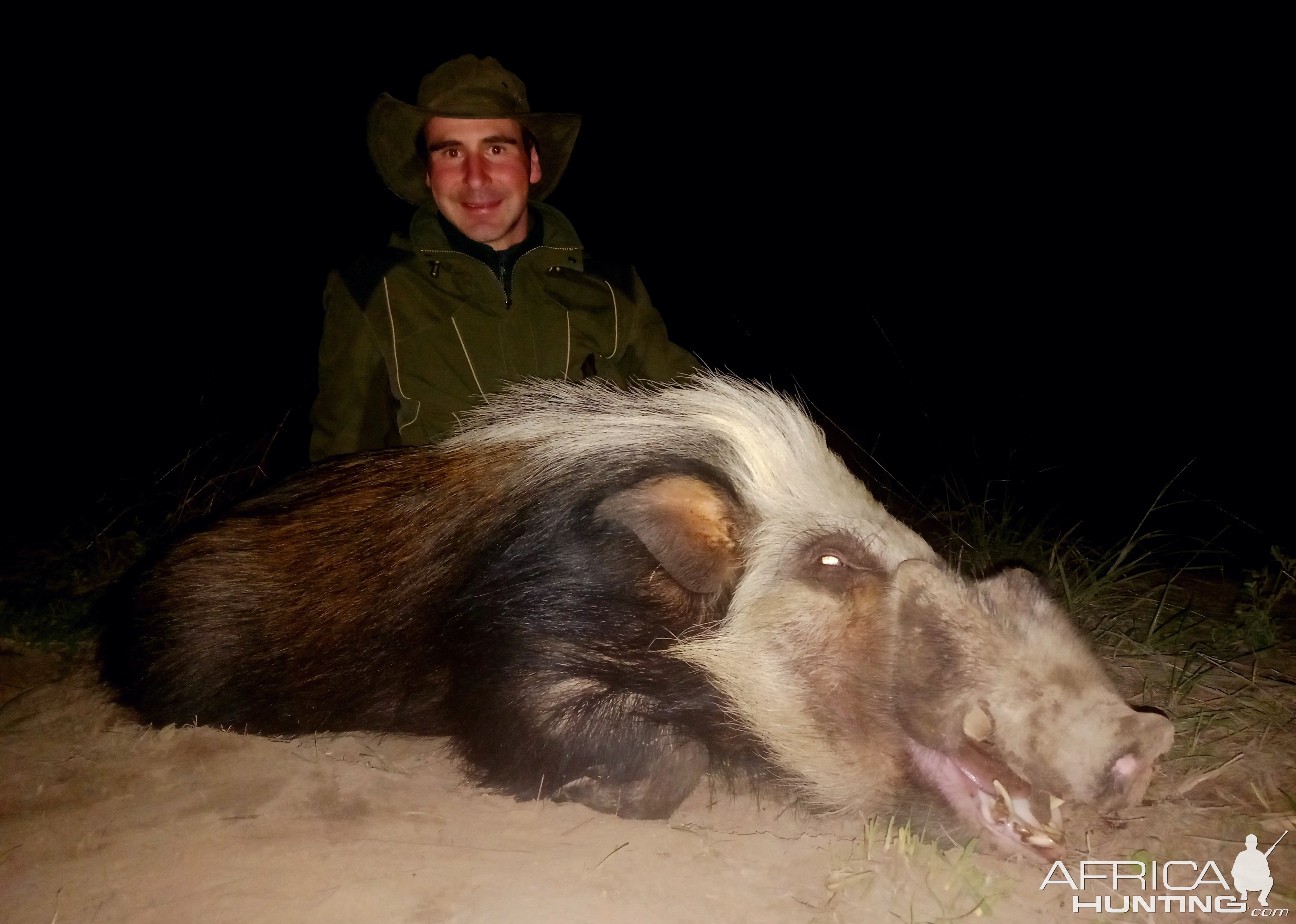 Bushpig Hunt South Africa