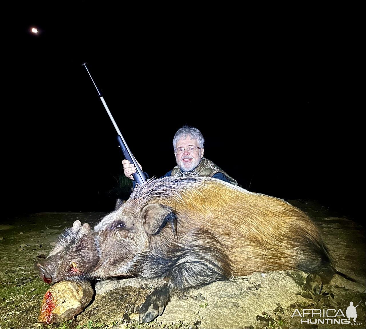 Bushpig Hunt South Africa