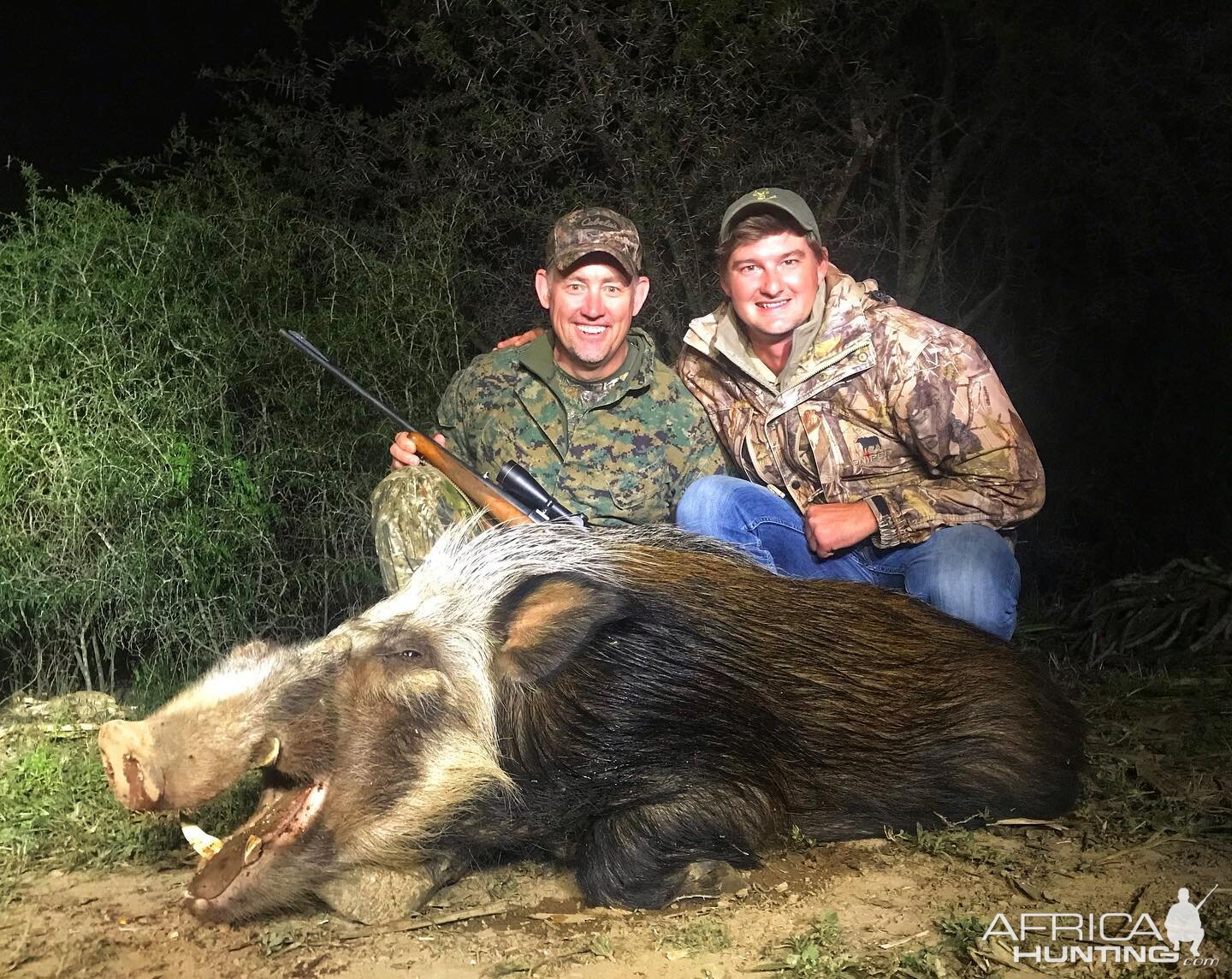 Bushpig Hunt South Africa