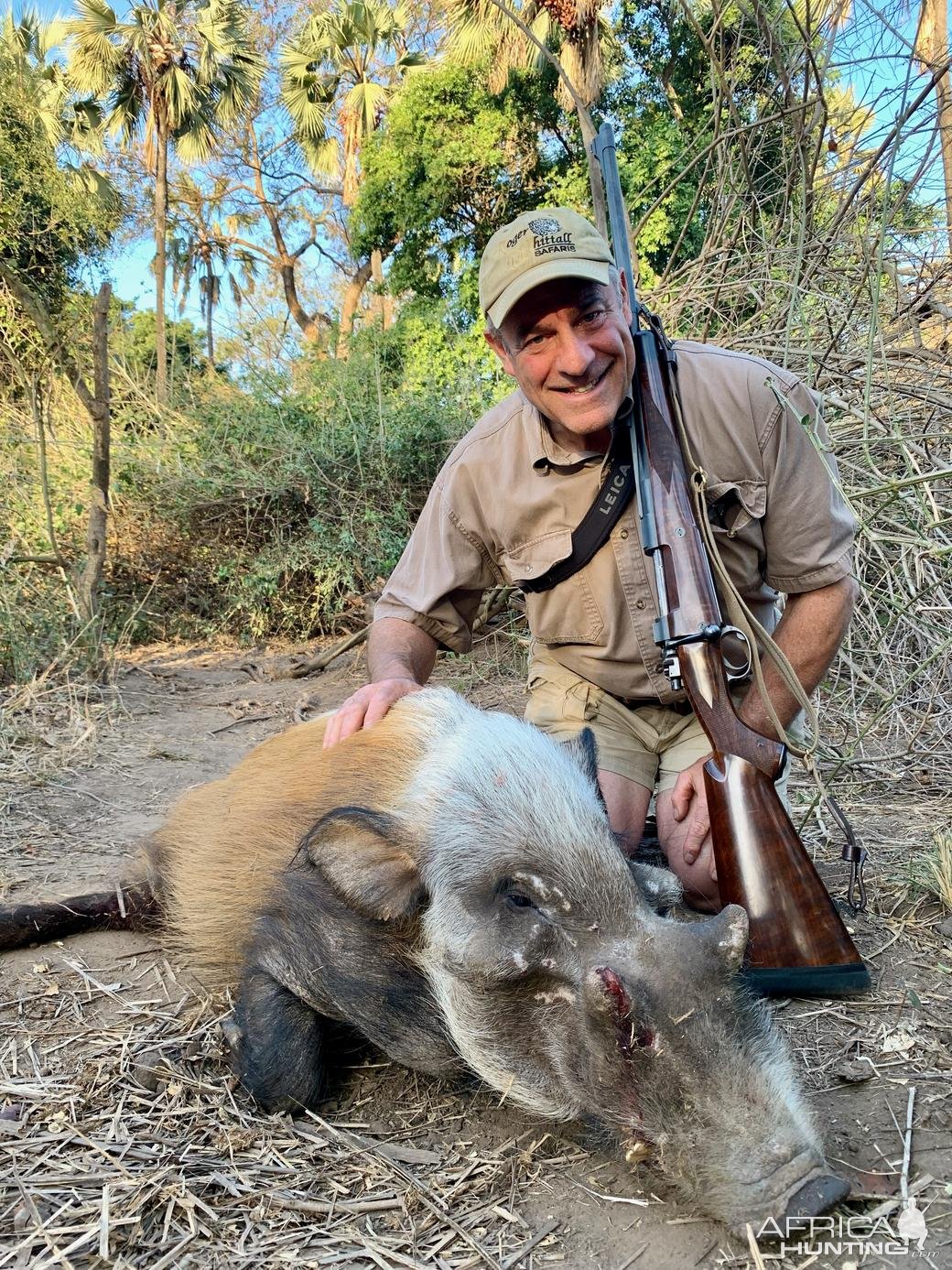 Bushpig Hunt