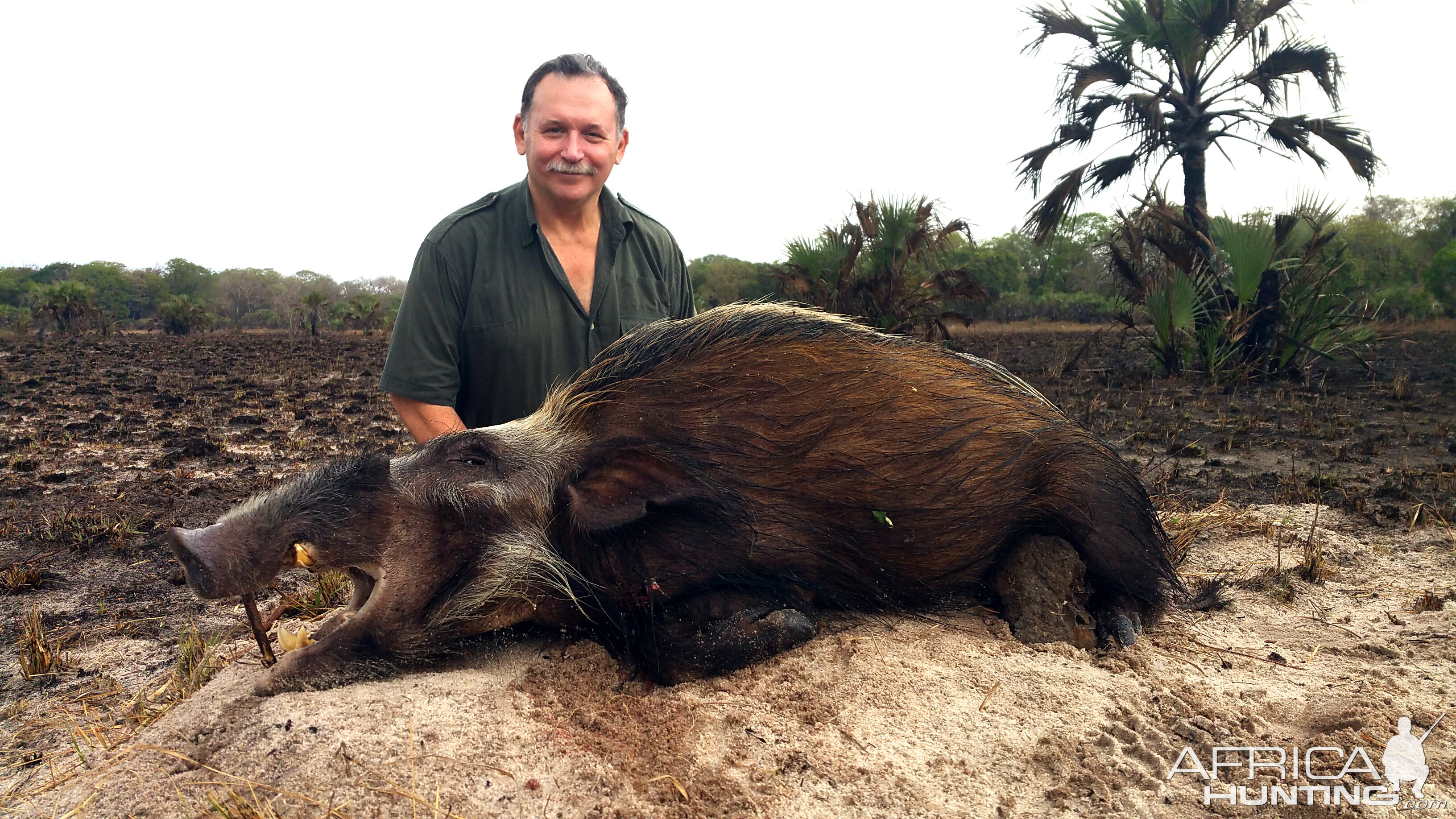 Bushpig Hunting in Mozambique