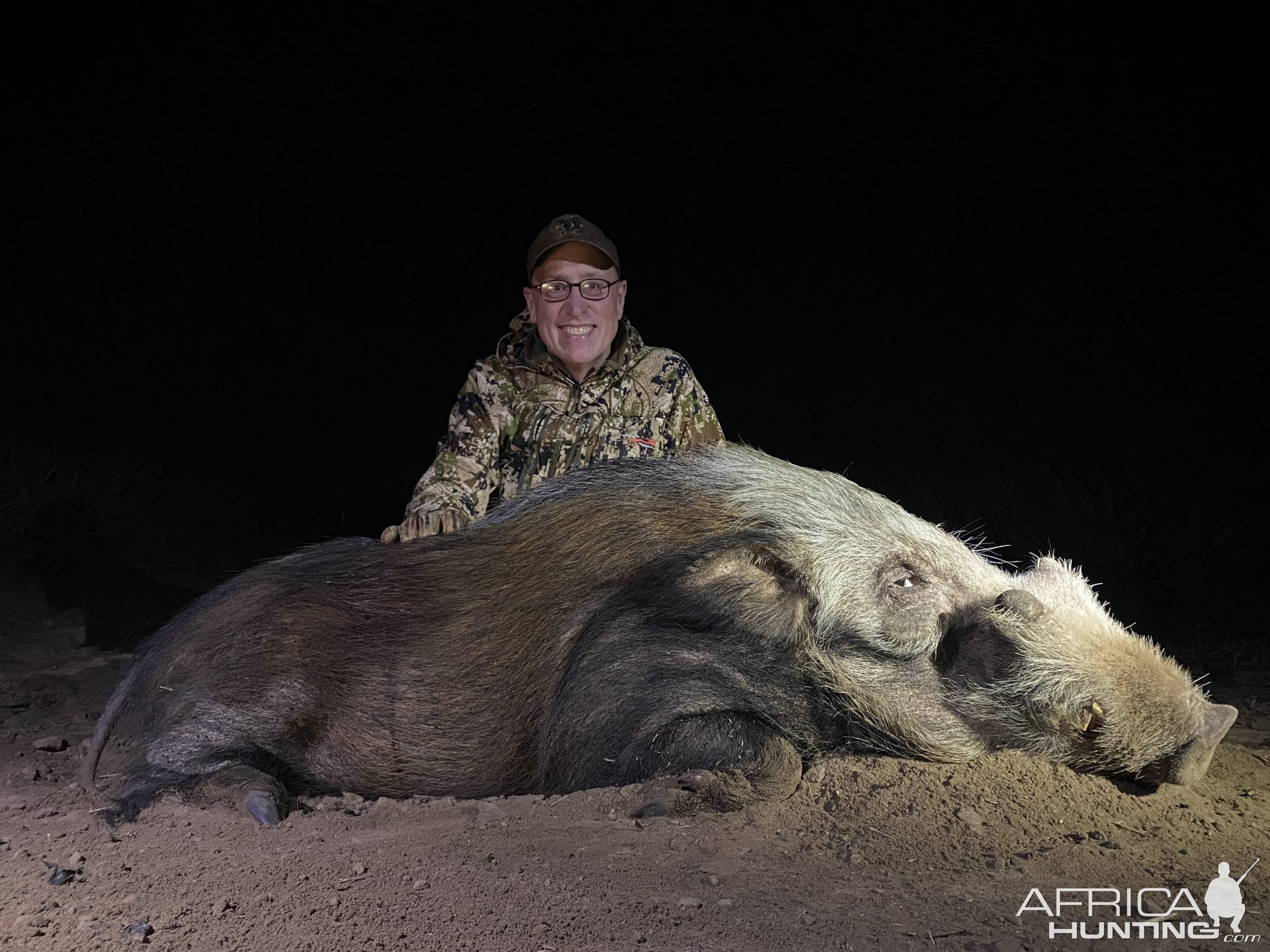 Bushpig Hunting Limpopo South Africa