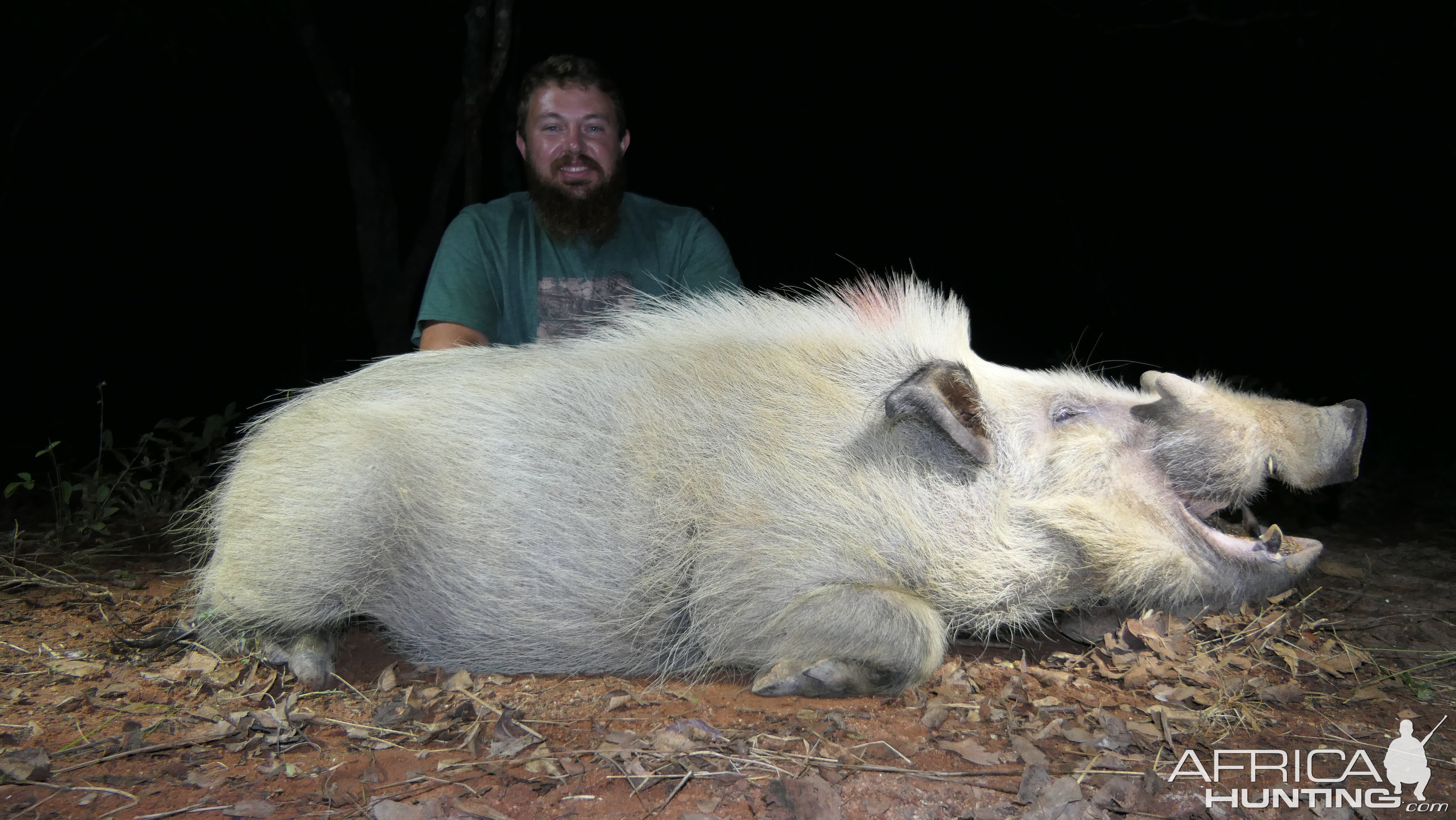 Bushpig Hunting South Africa