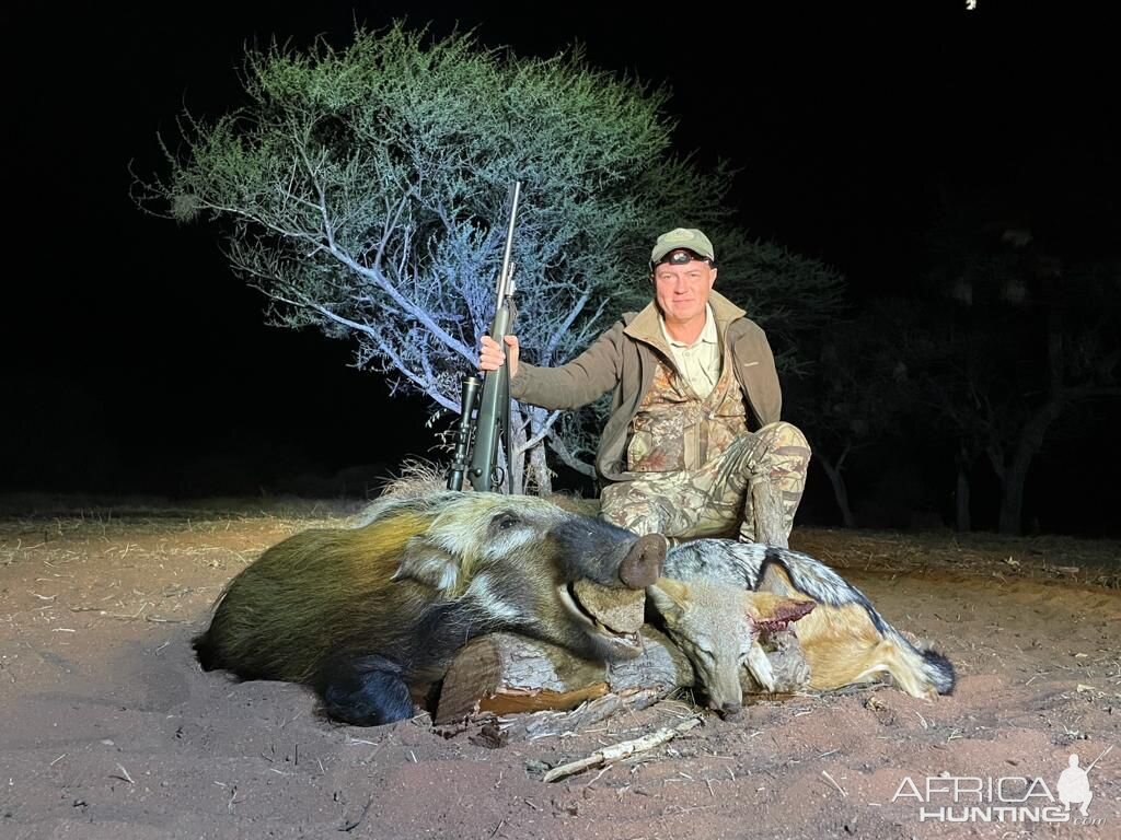 Bushpig Hunting South Africa