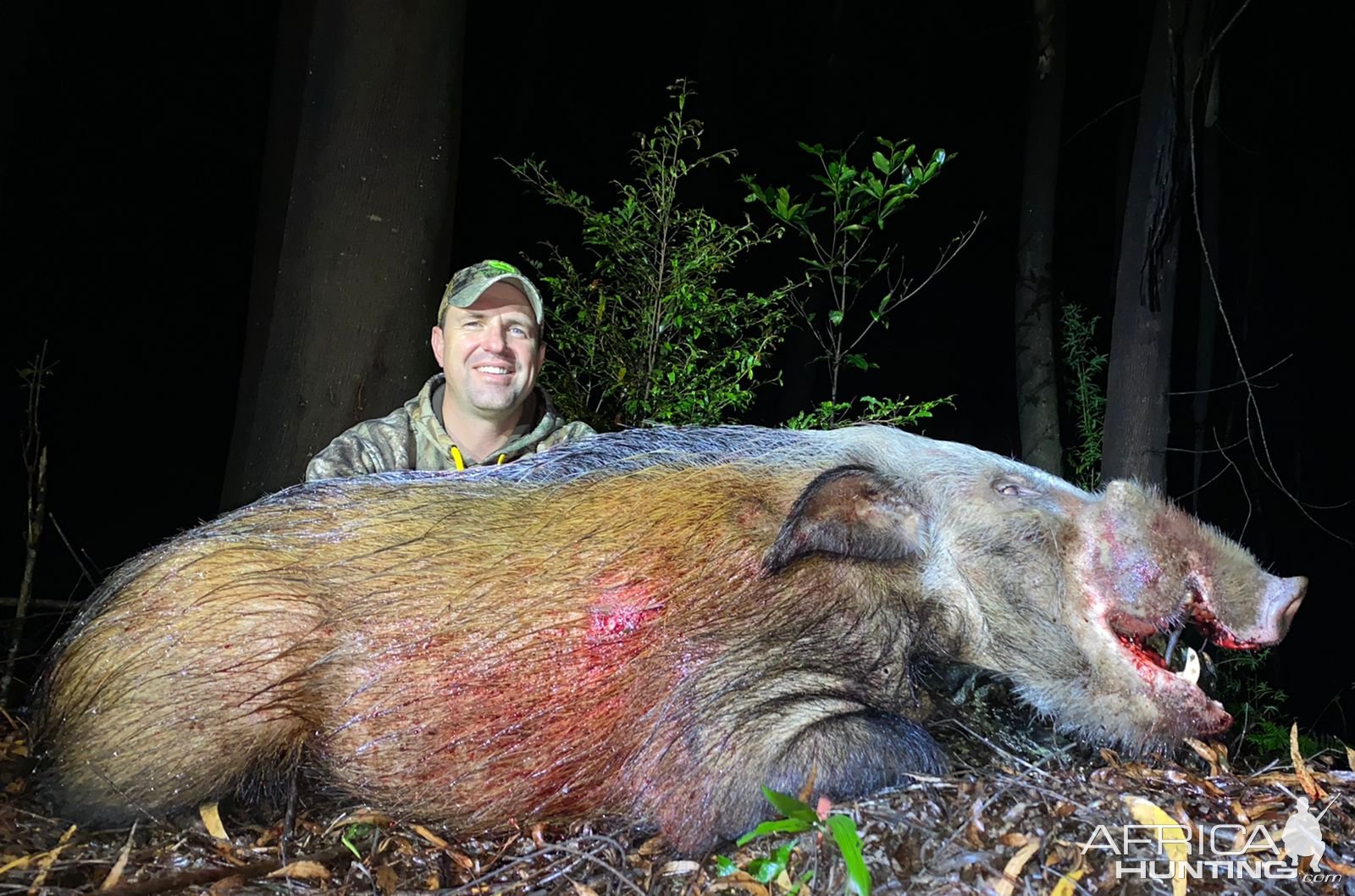 Bushpig Hunting South Africa