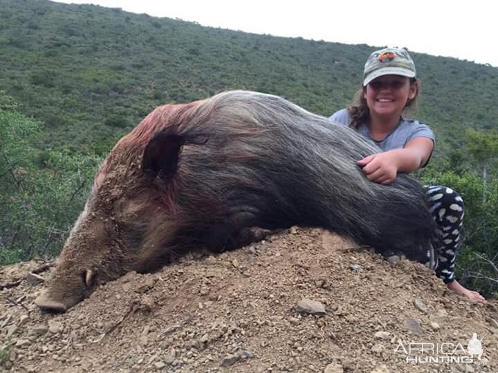 Bushpig Hunting South Africa