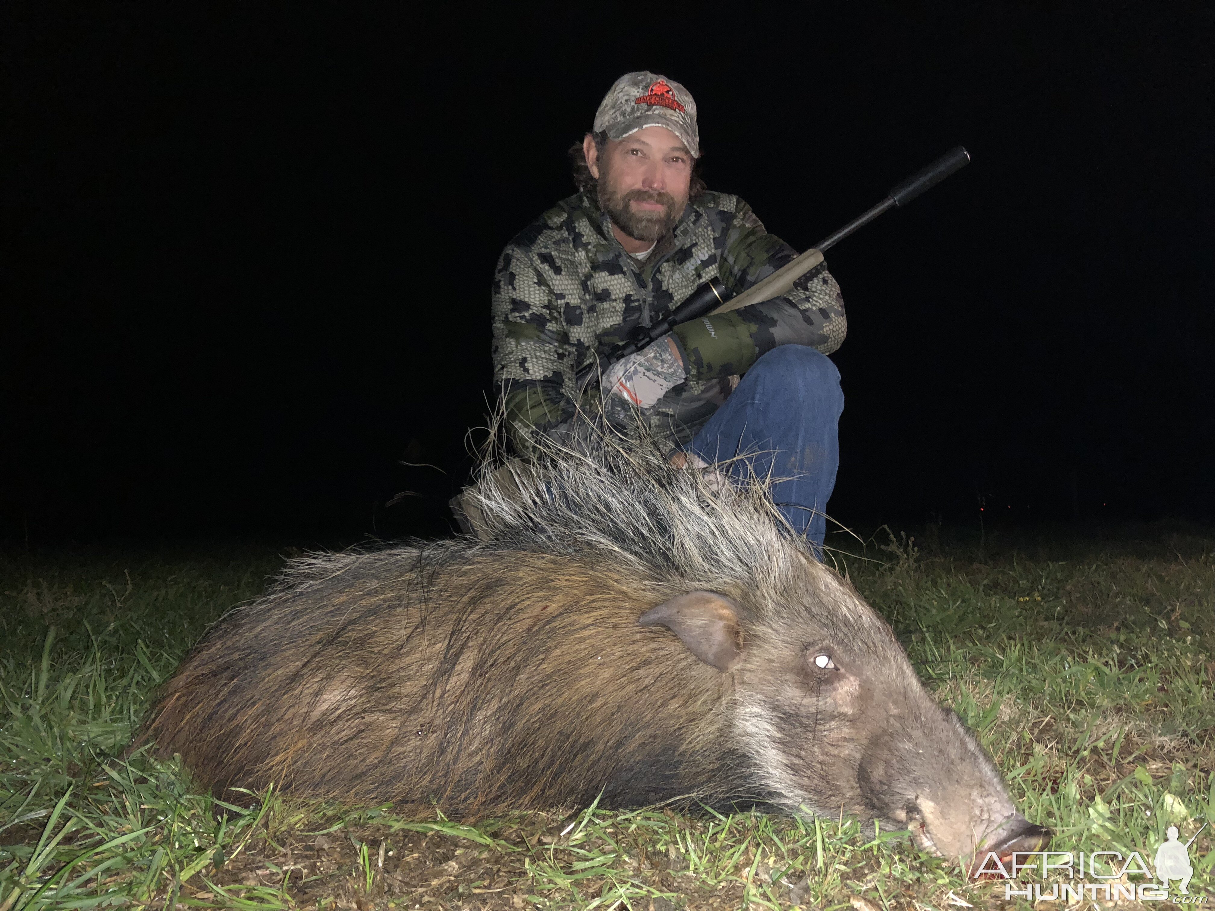 Bushpig Hunting South Africa