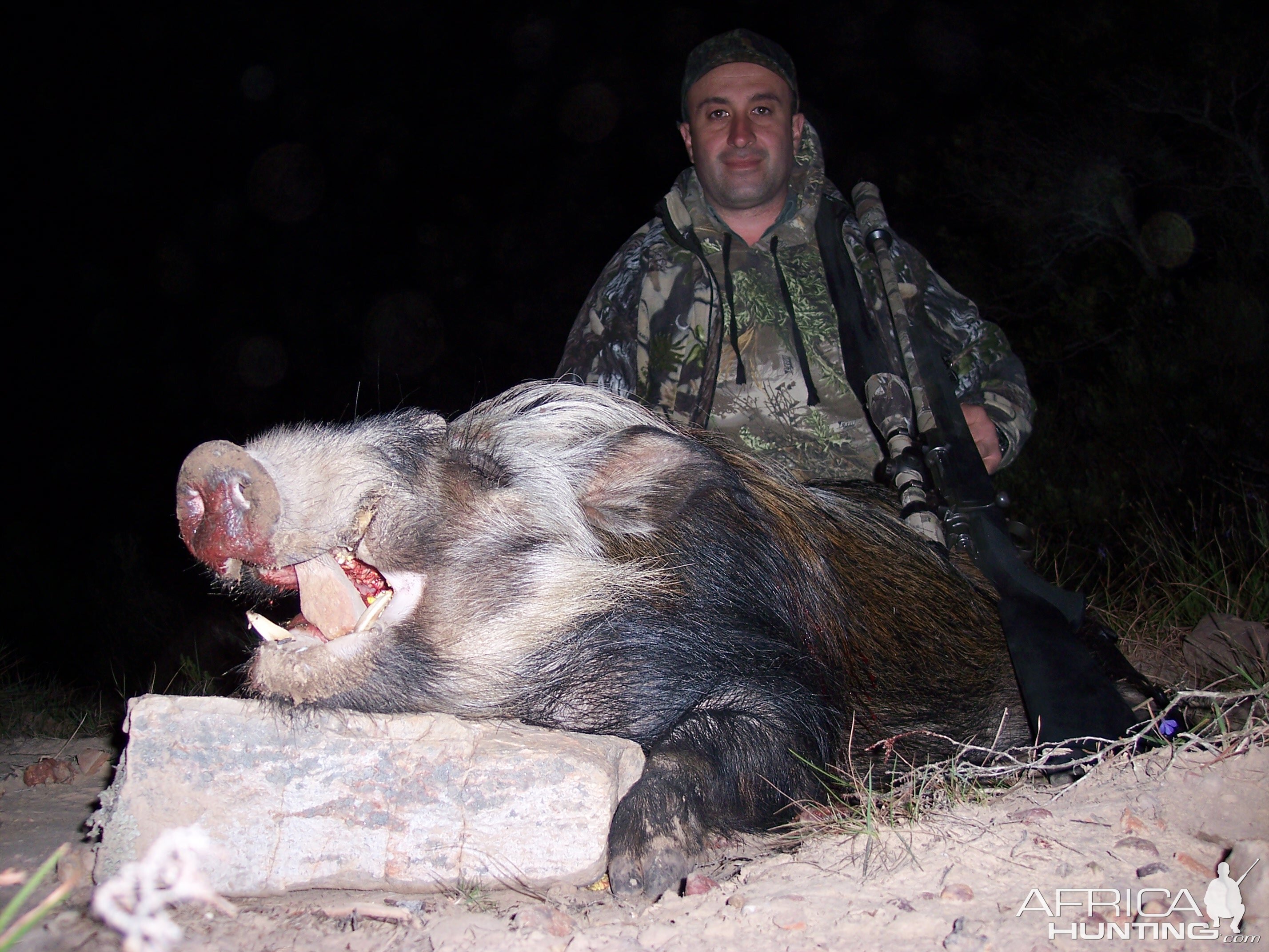 Bushpig Hunting South Africa