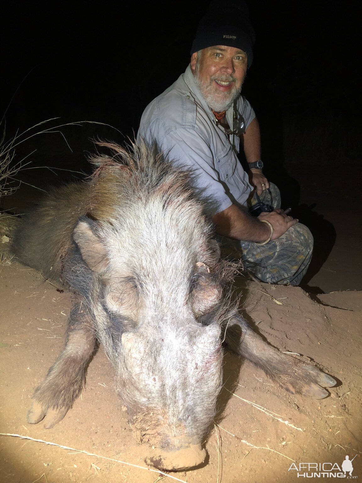 Bushpig Hunting South Africa