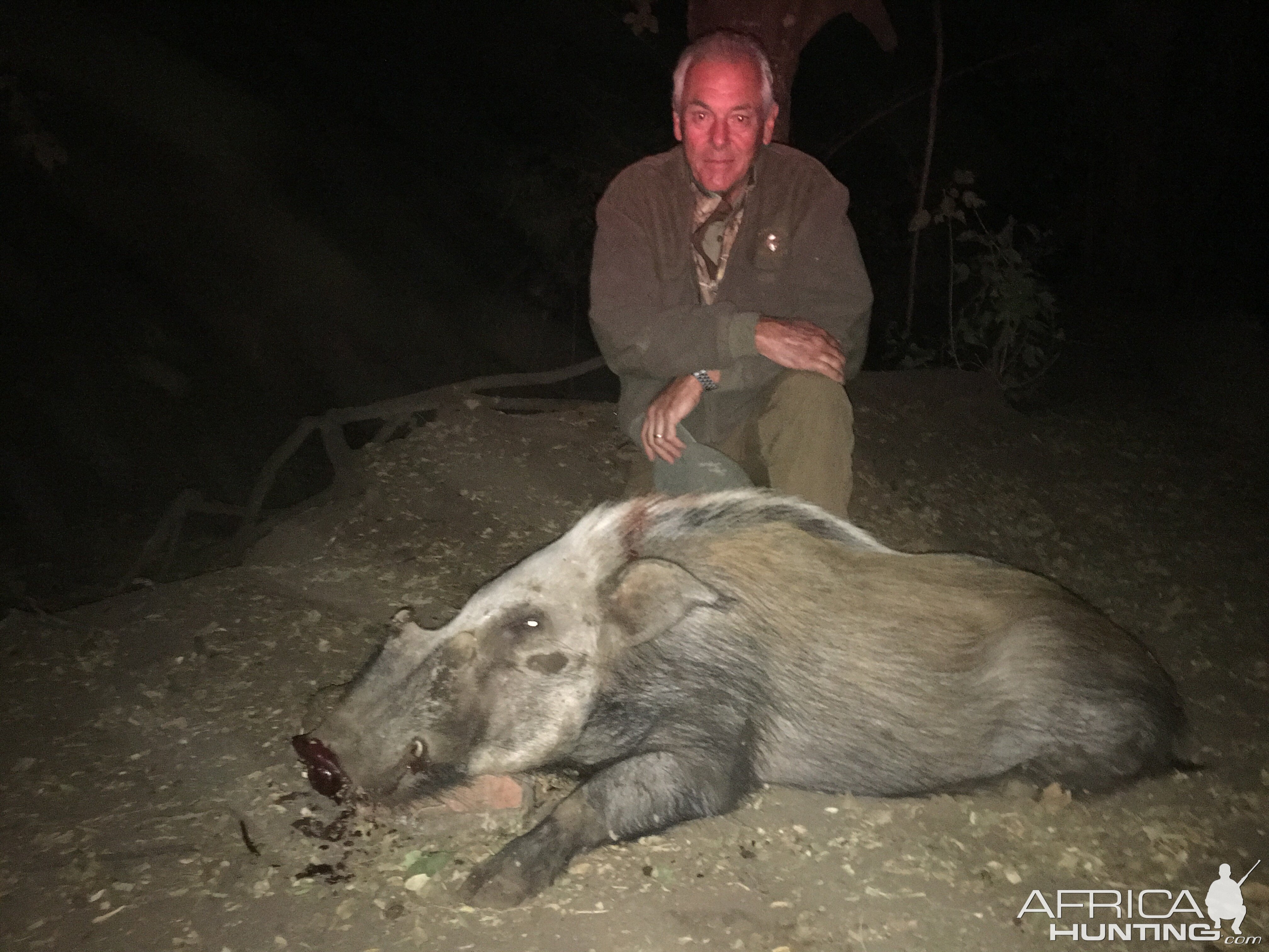 Bushpig Hunting South Africa