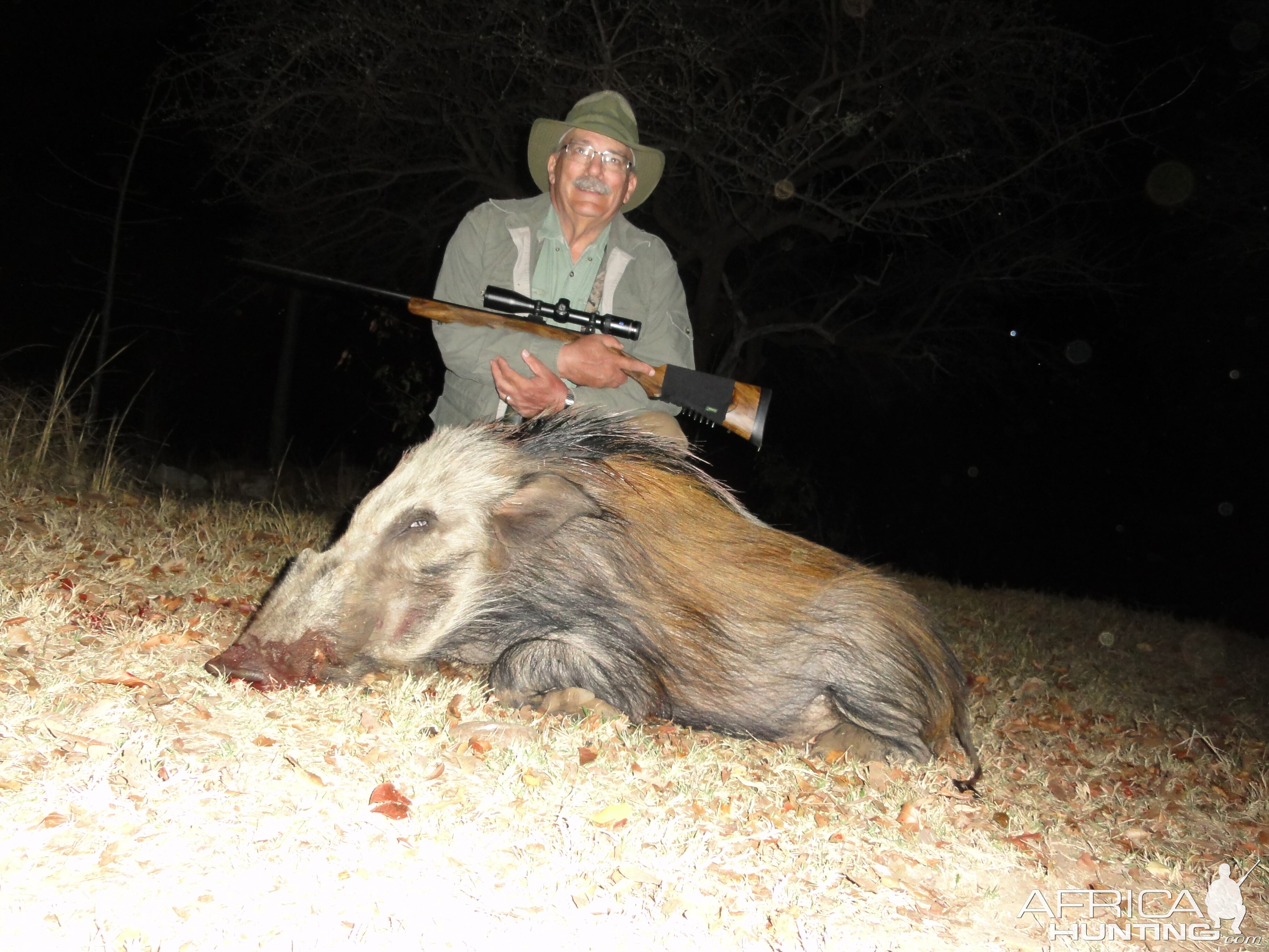 Bushpig Hunting