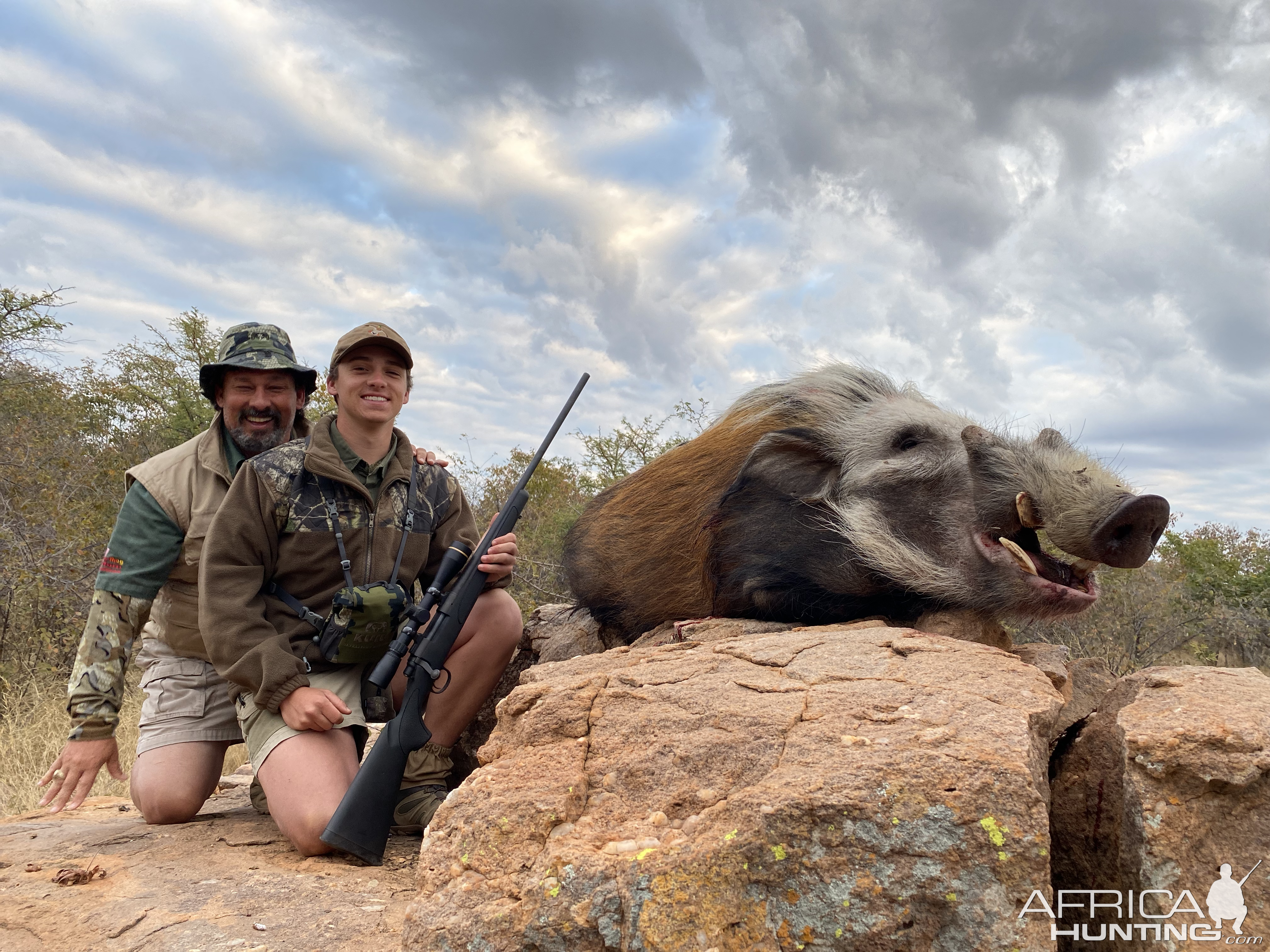 Bushpig South Africa Hunt