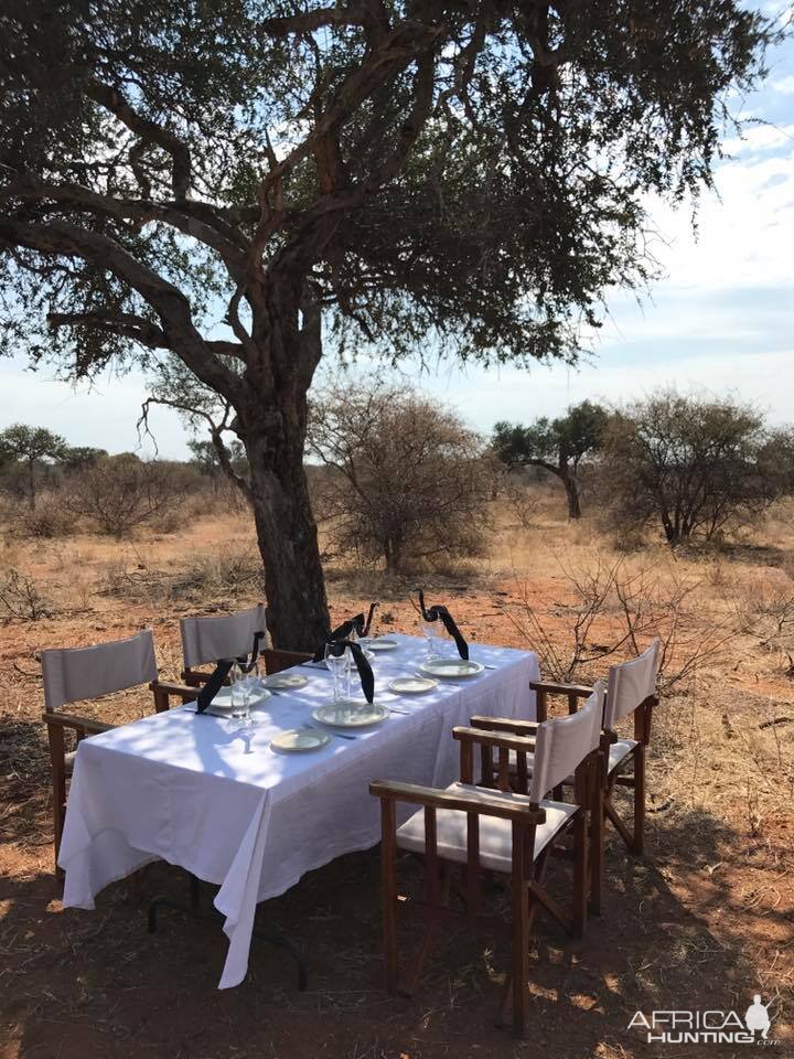 Bushveld Lunch South Africa