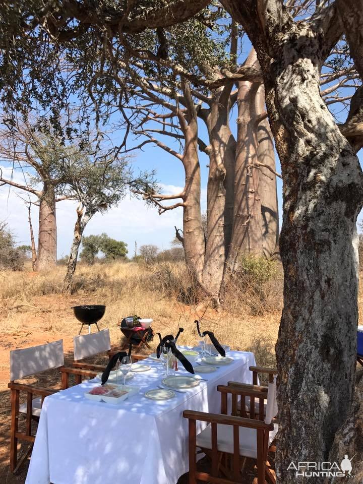 Bushveld Lunch South Africa