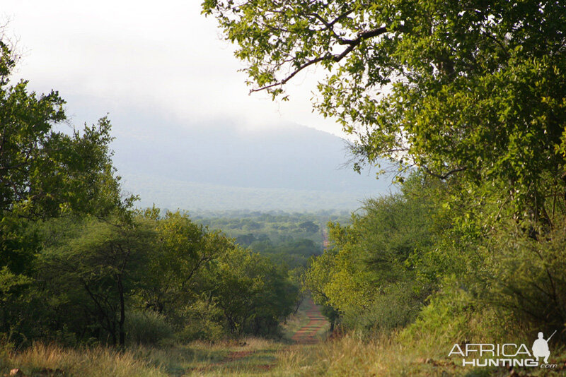 Bushveld