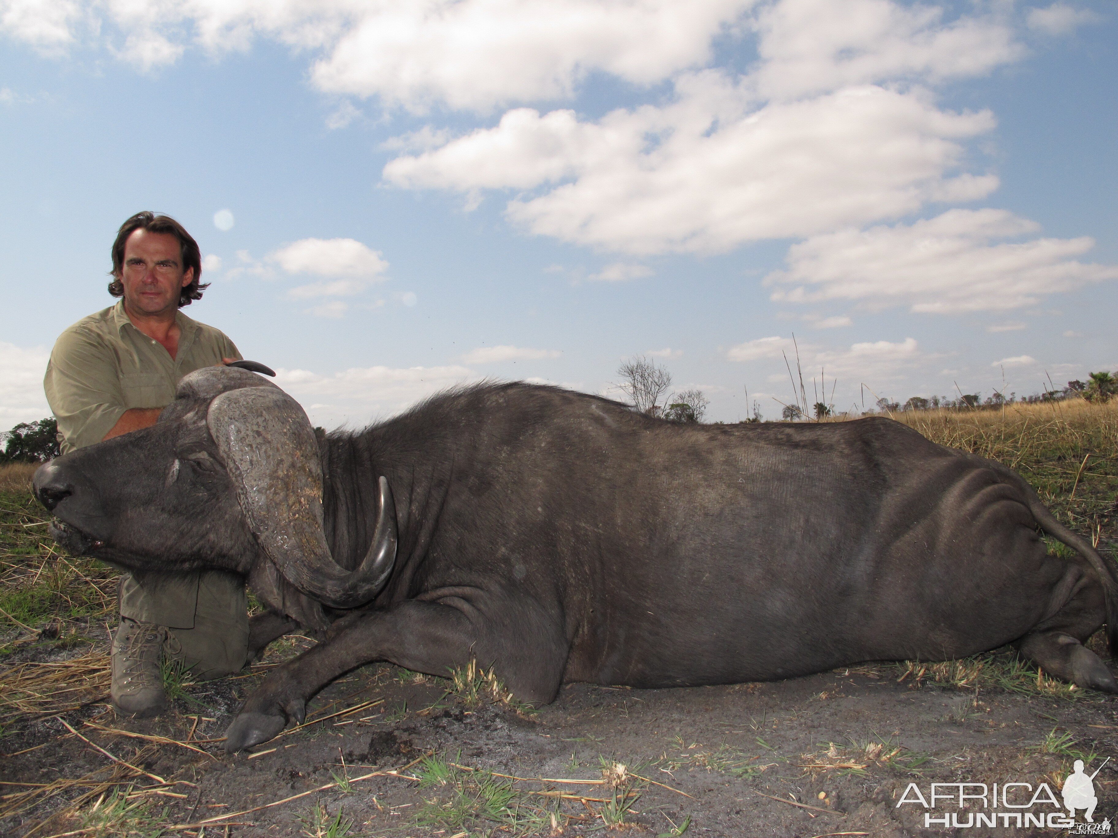 Caffer... Selous game Reserve 011