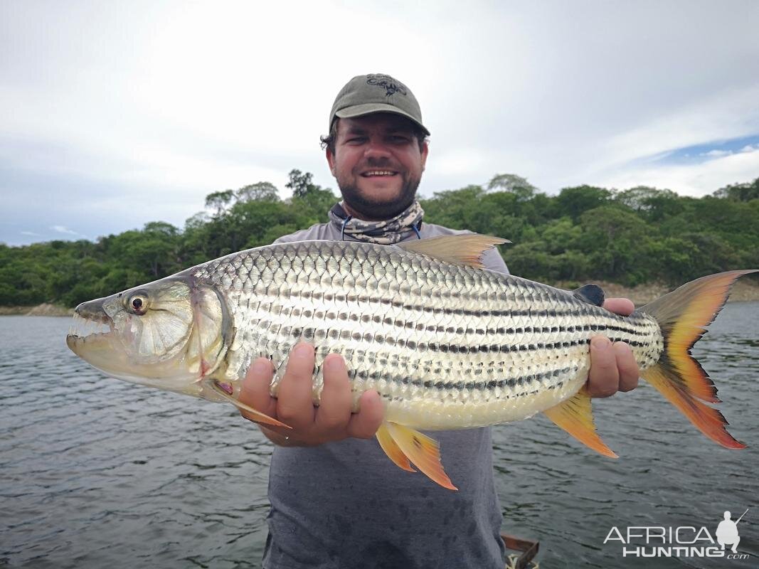 Cahora Bassa Mozambique Tigerfish Fishing