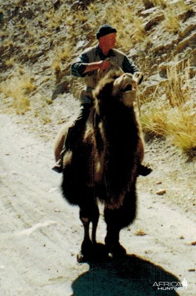 Camel Riding