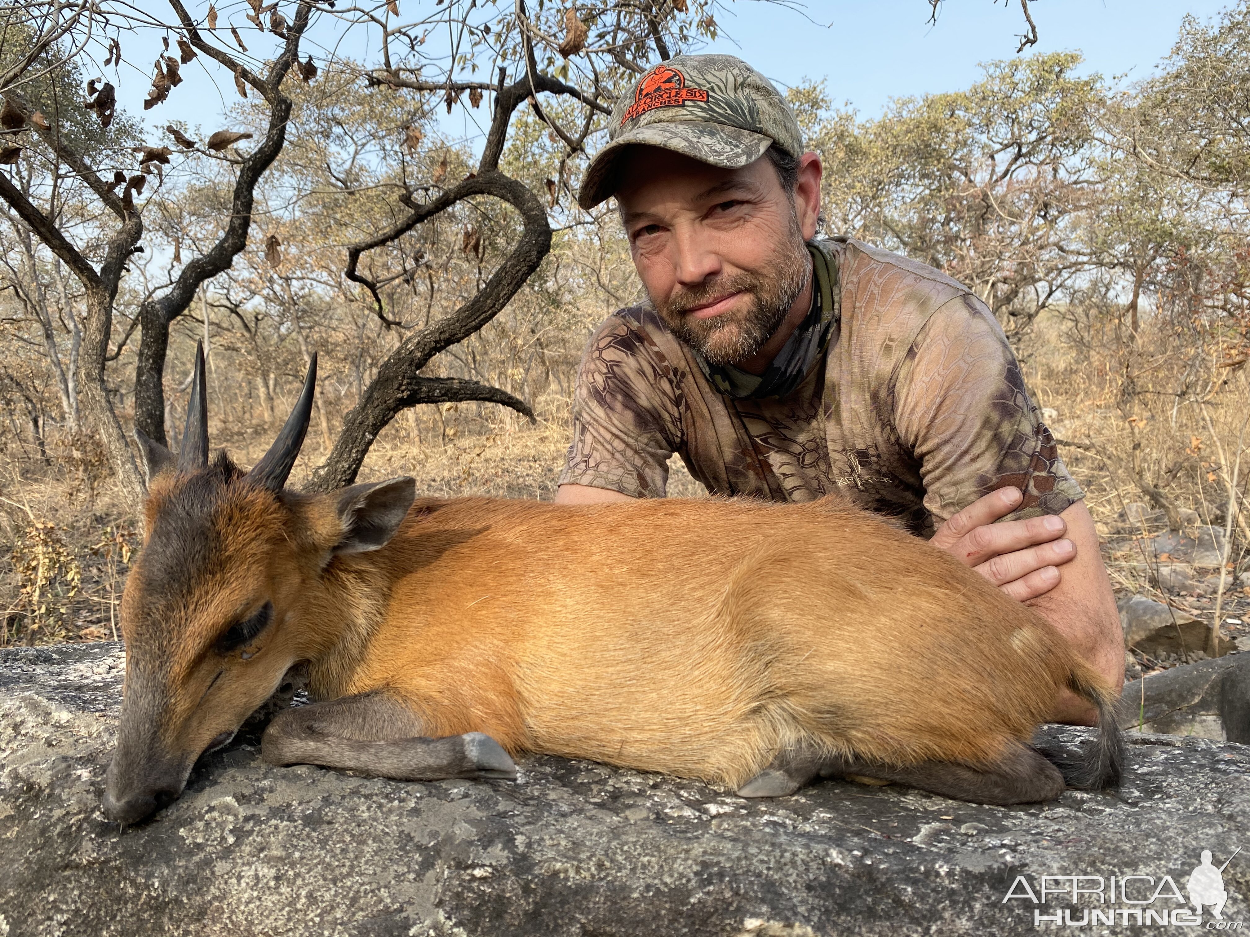 Cameroon Hunt Red Flanked Duiker