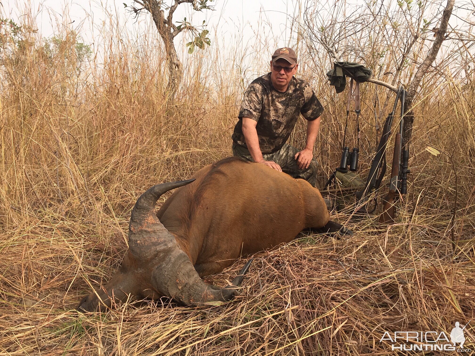 Cameroon Hunting West African Savanna Buffalo