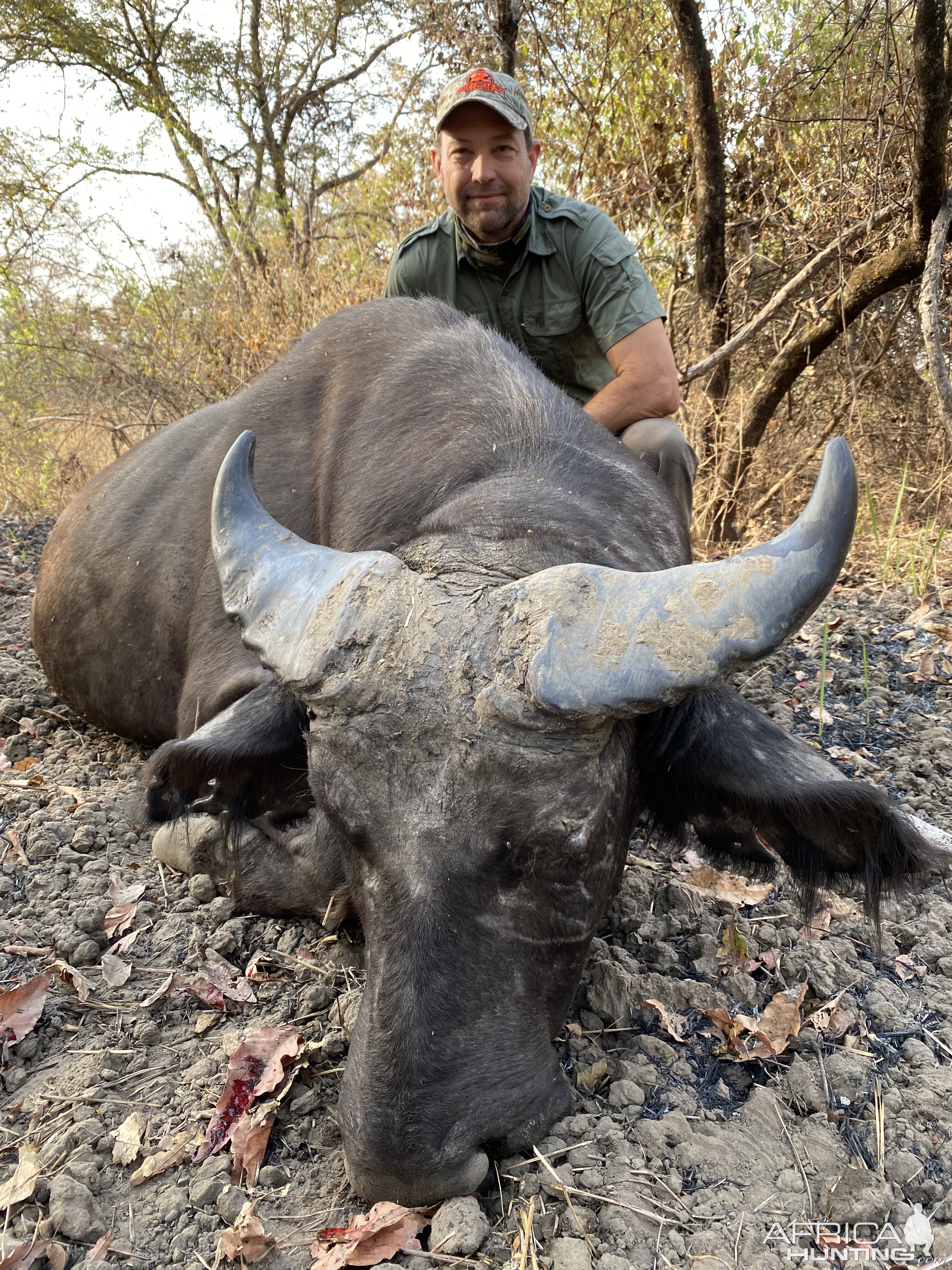 Cameroon Hunting West African Savanna Buffalo