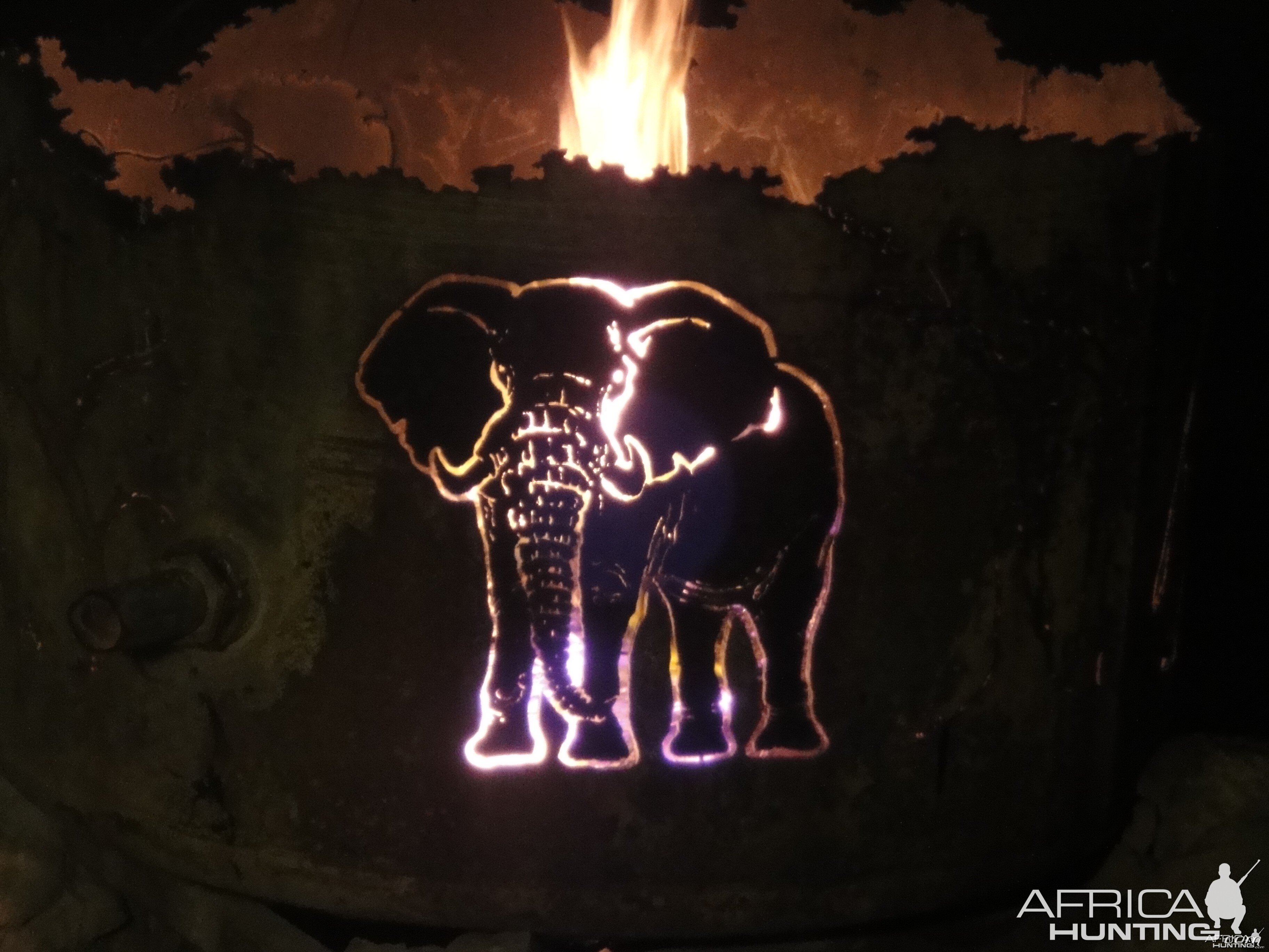 Campfire Africa