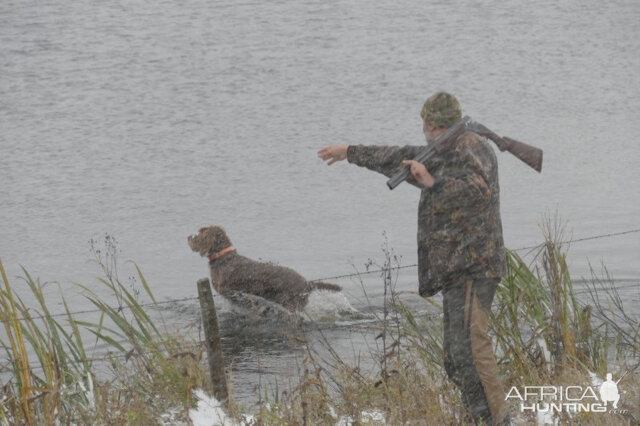 Canada Bird Hunting