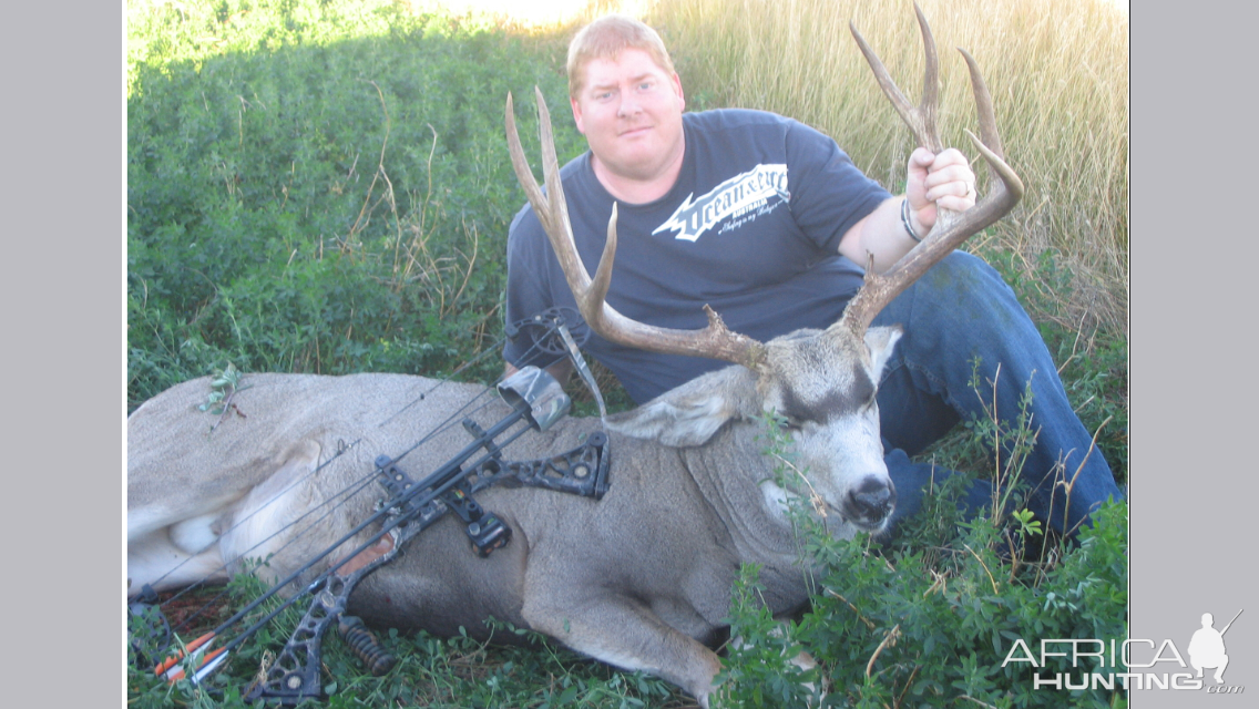 Canada Bow Hunt Mule Deer