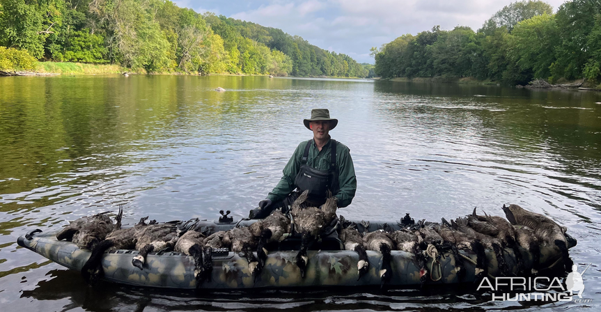 Canada Goose Hunting