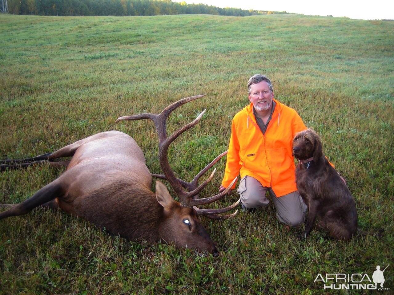 Canada Hunt Elk