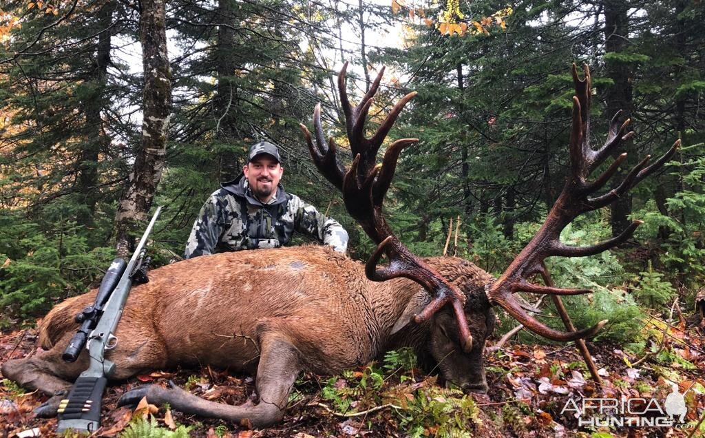 Canada Hunt Red Stag