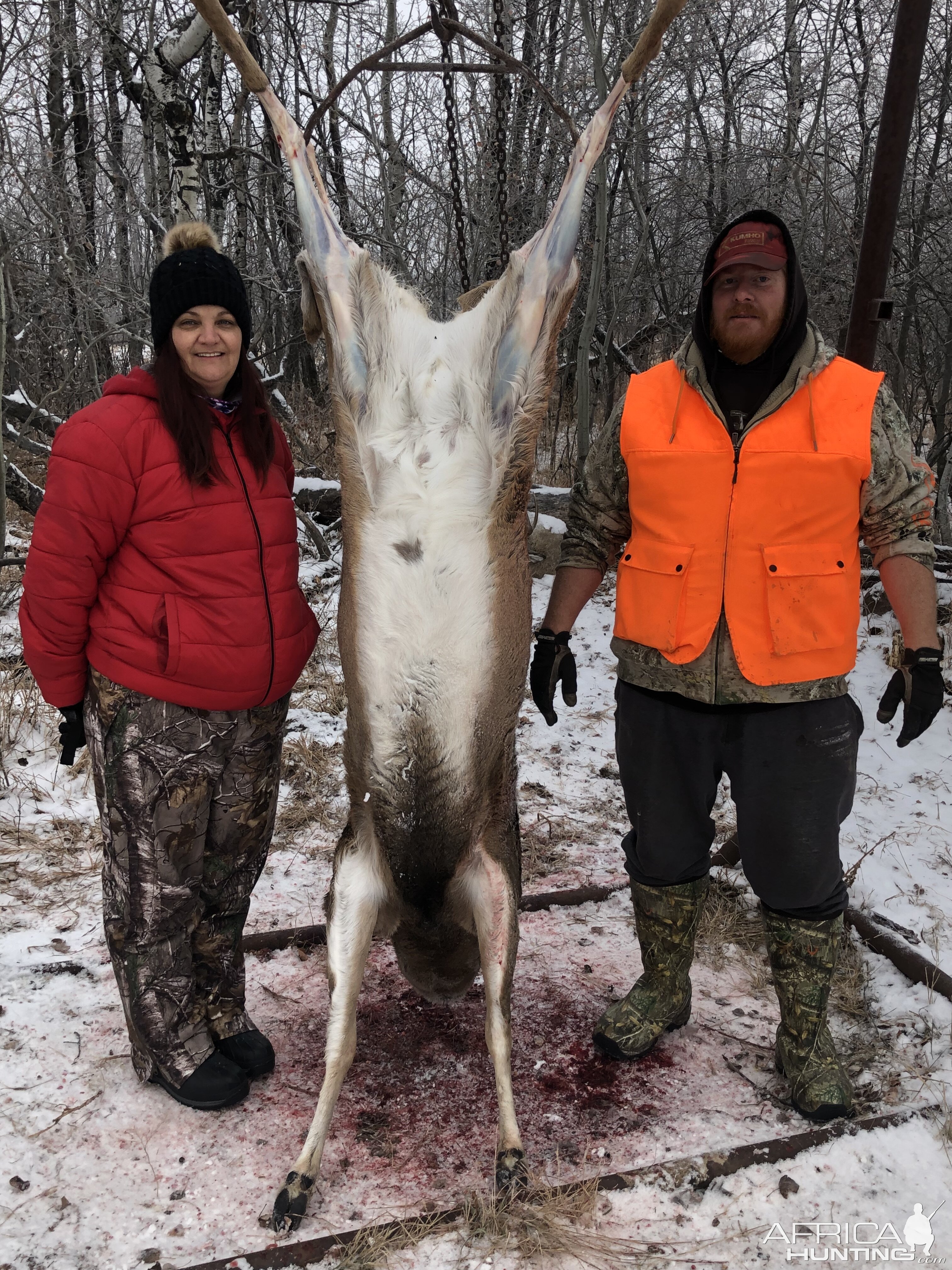 Canada Hunt White-tailed Deer