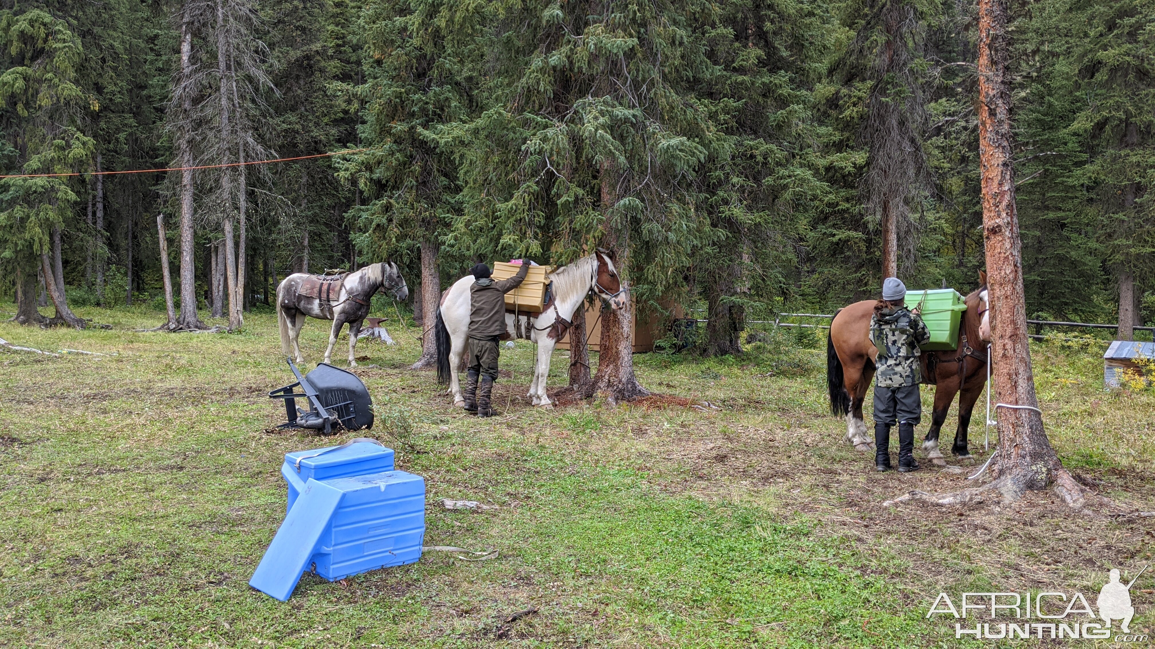 Canada Northern British Columbia Goat & Moose Hunt