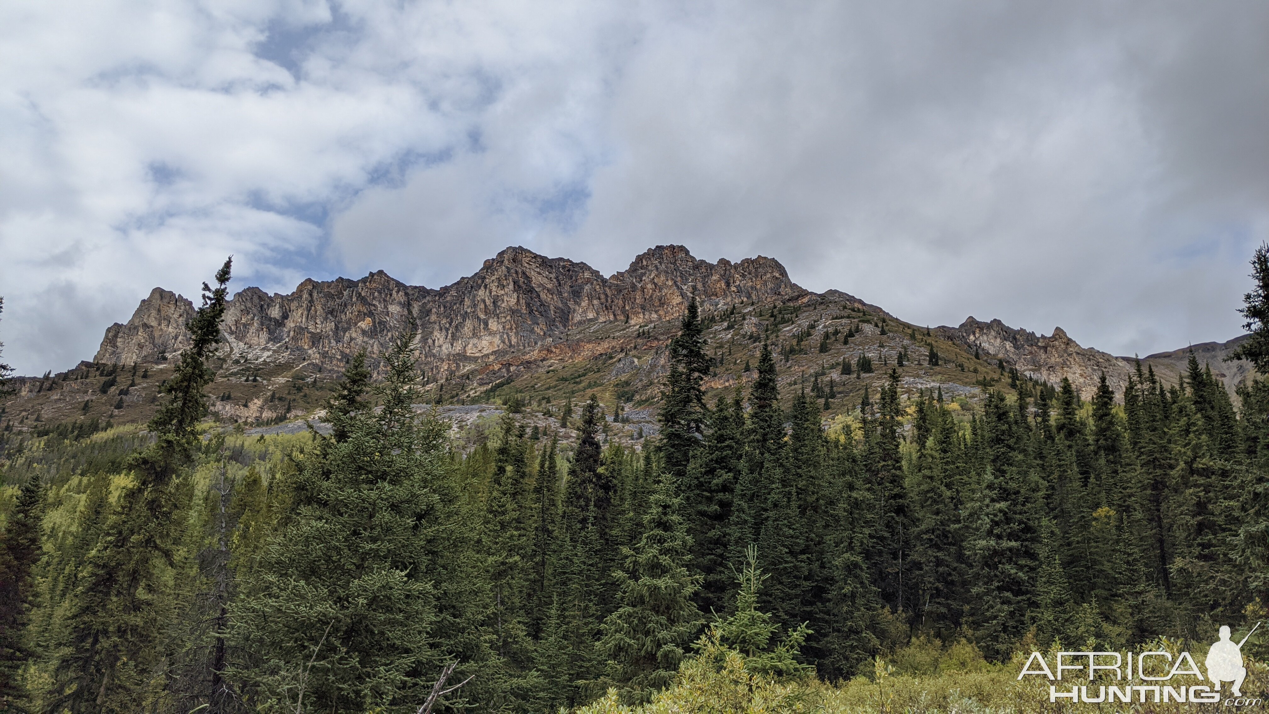 Canada Northern British Columbia Goat & Moose Hunt