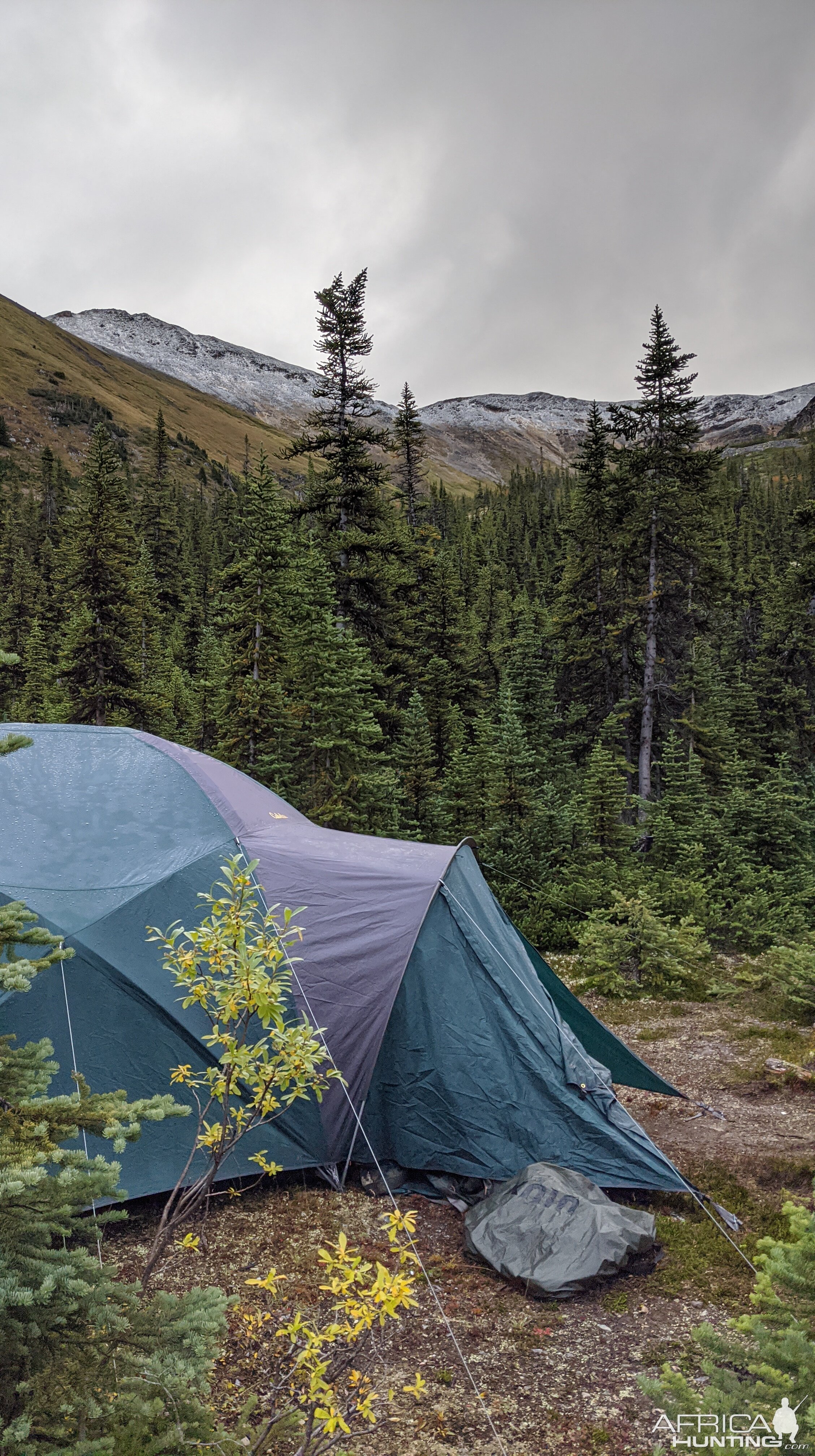 Canada Northern British Columbia Goat & Moose Hunt