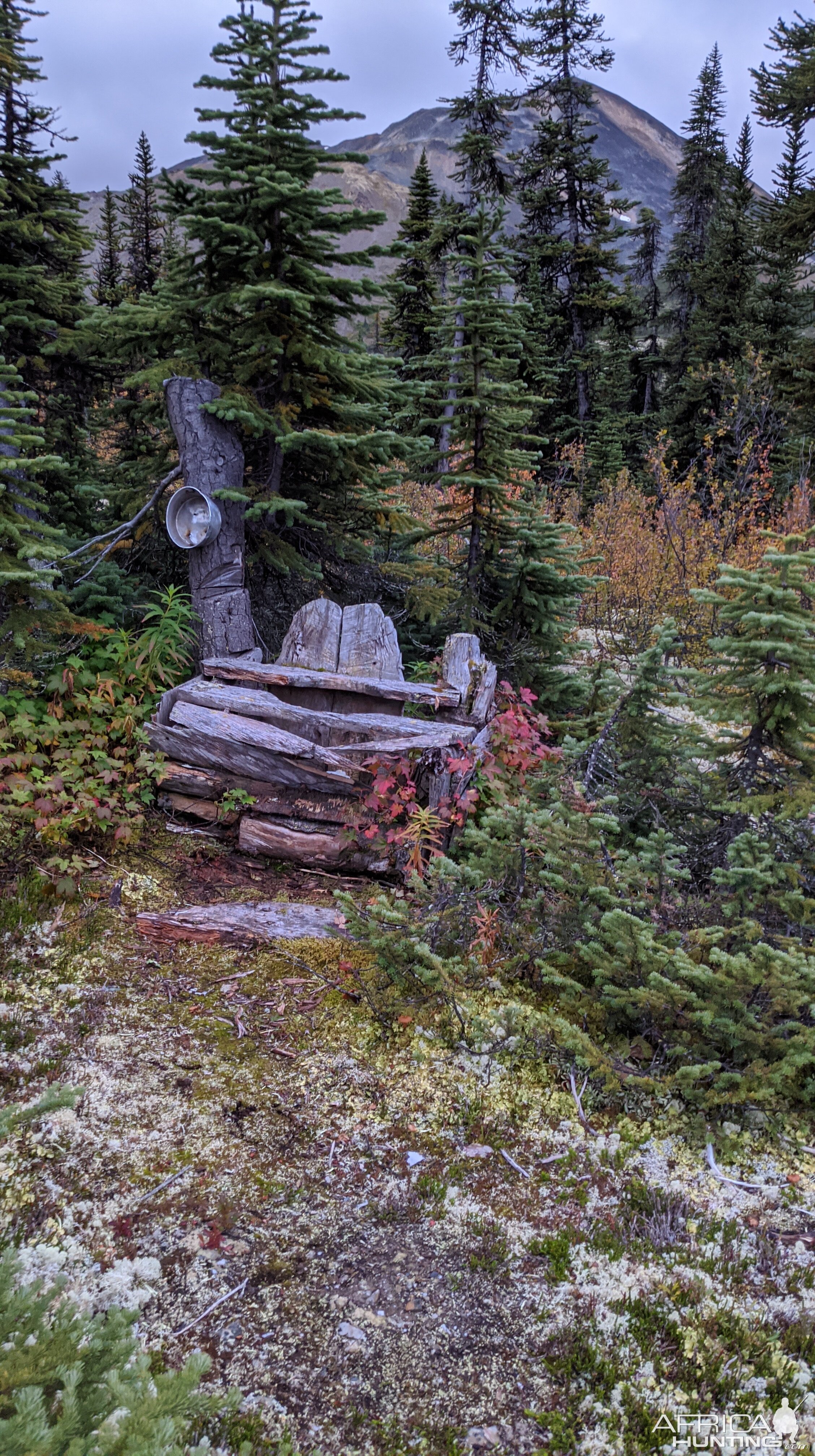 Canada Northern British Columbia Goat & Moose Hunt