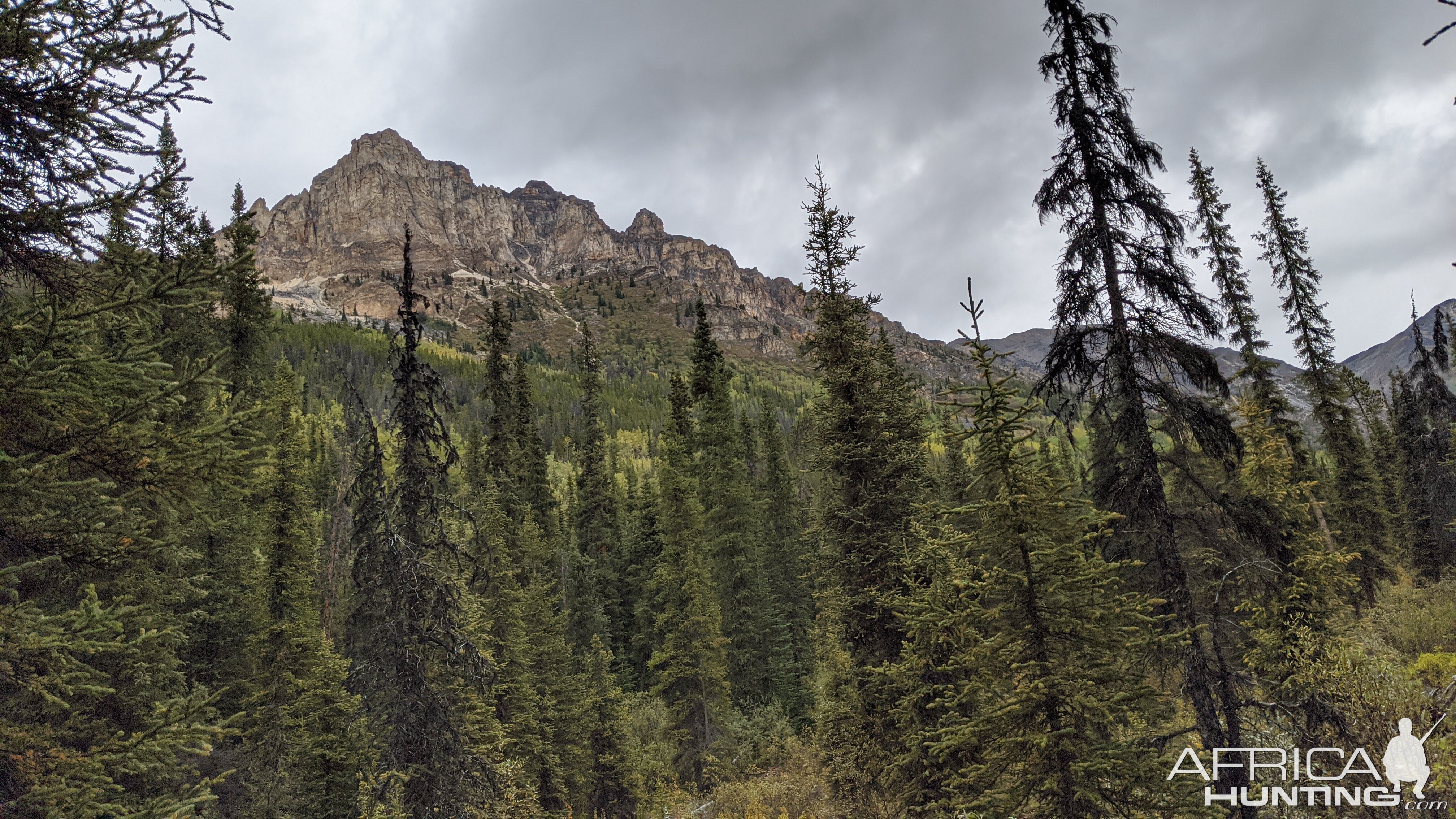 Canada Northern British Columbia Goat & Moose Hunt