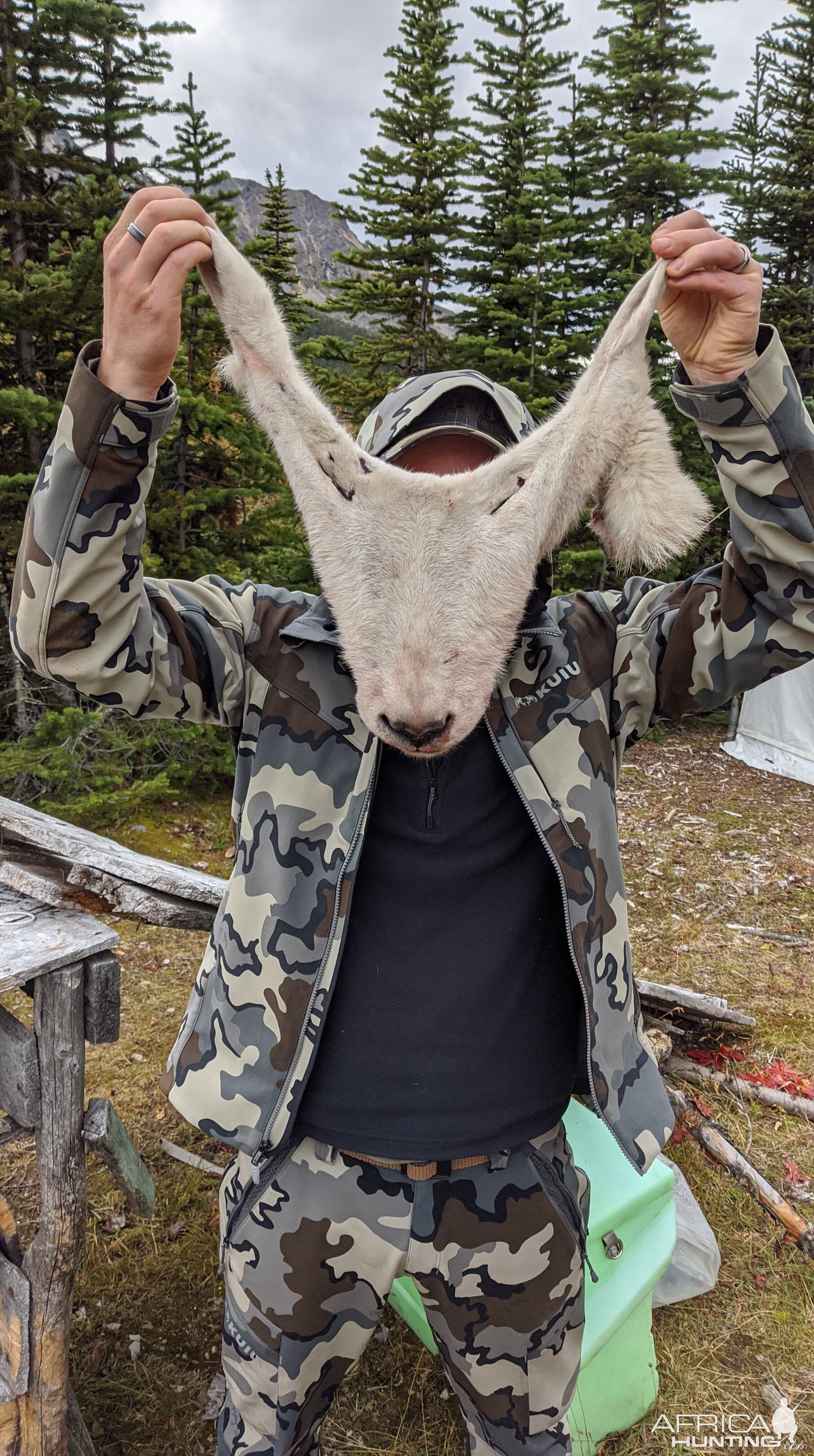 Canada Northern British Columbia Goat & Moose Hunt