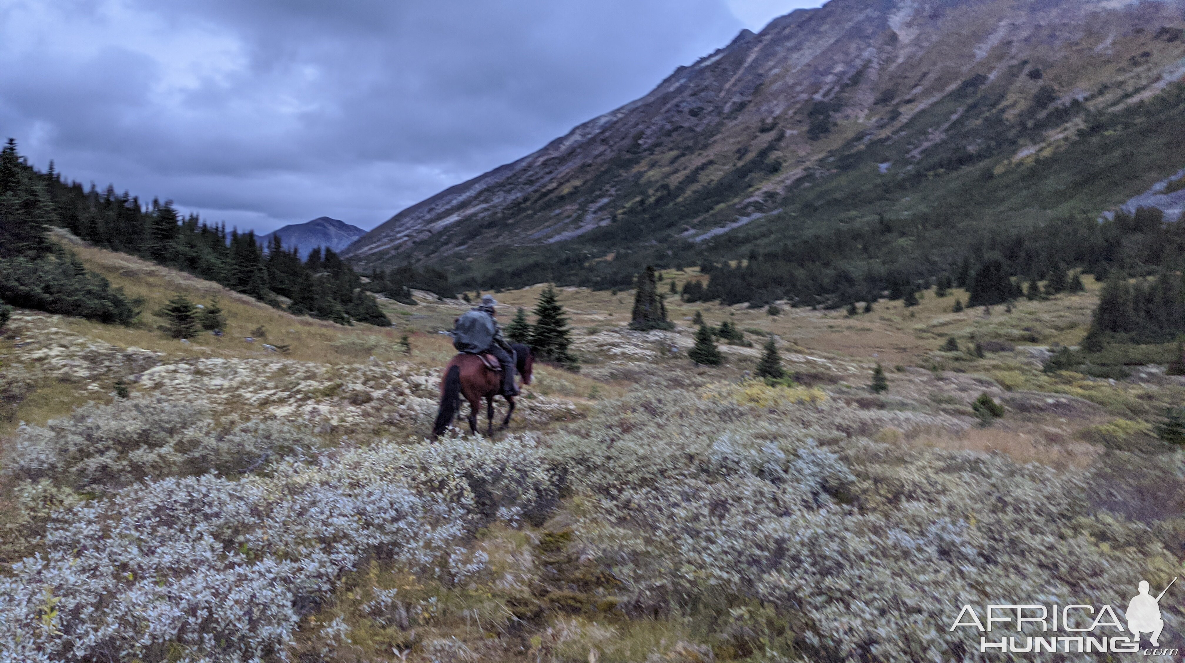 Canada Northern British Columbia Goat & Moose Hunt