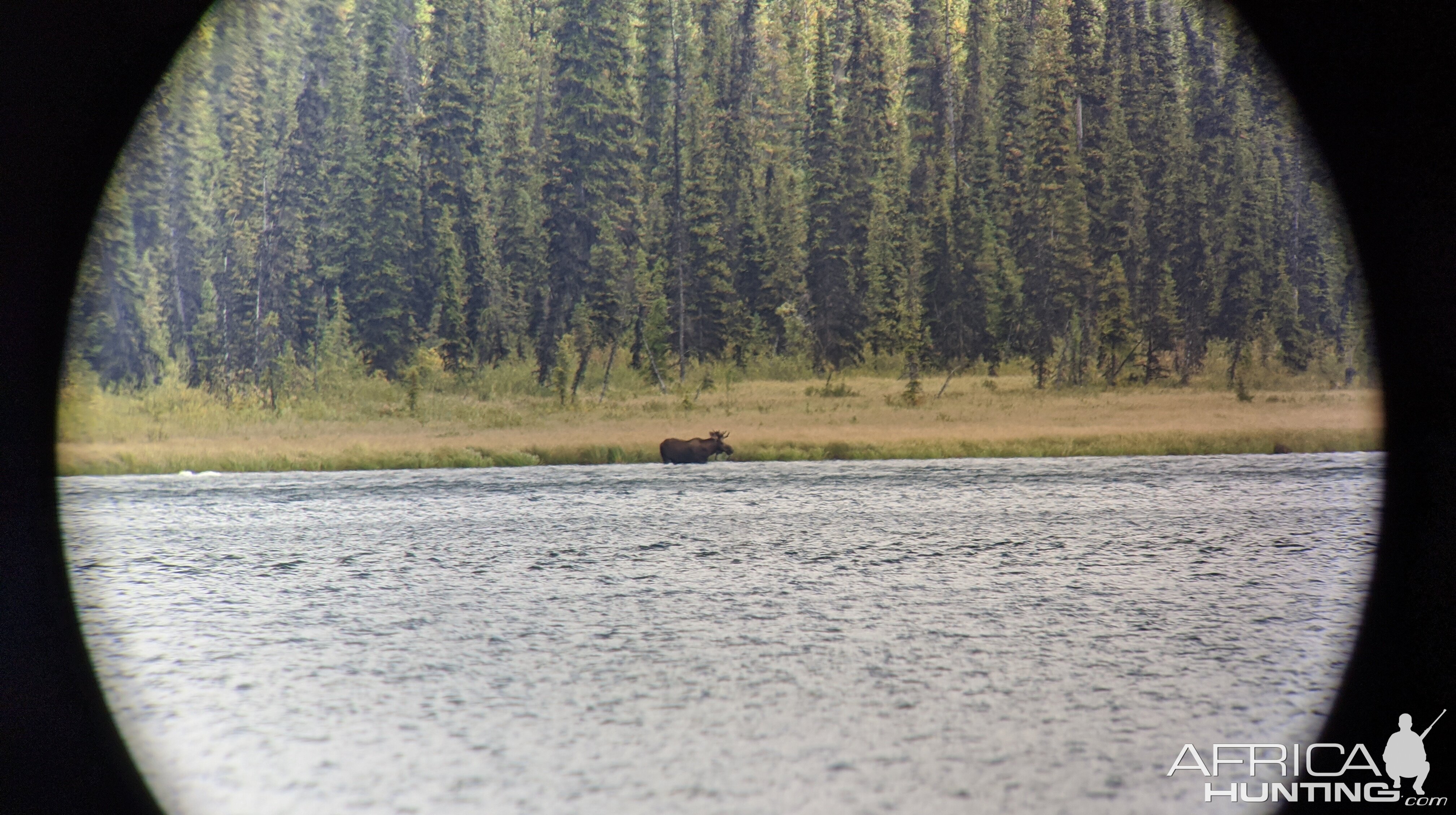 Canada Northern British Columbia Goat & Moose Hunt