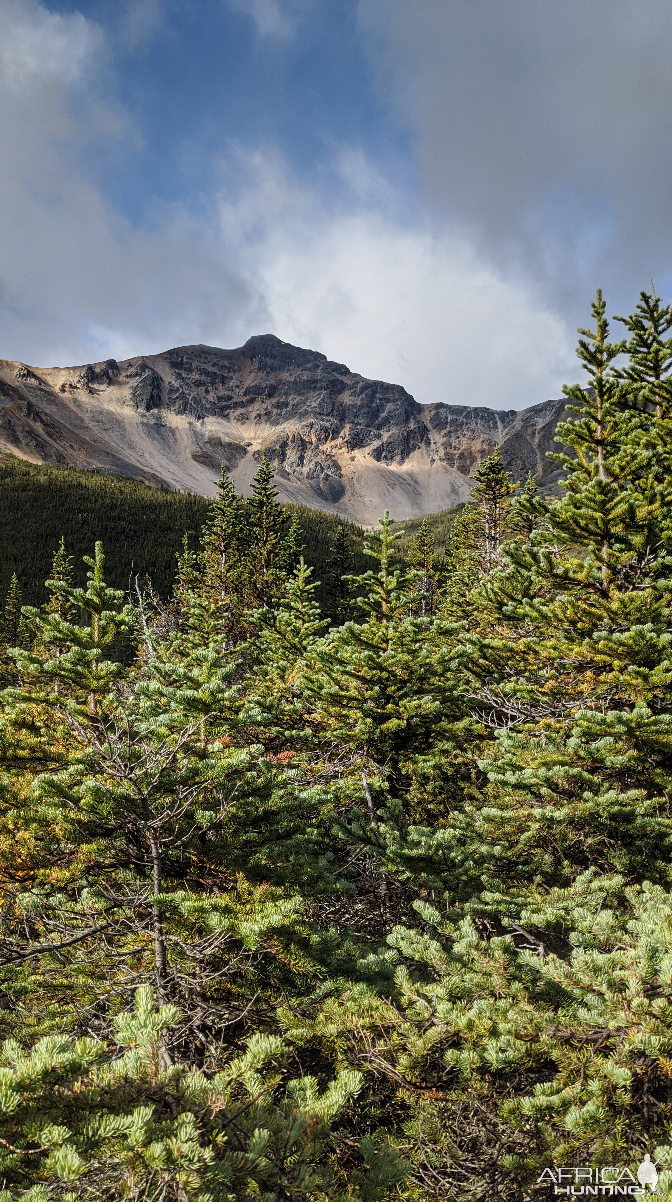 Canada Northern British Columbia Goat & Moose Hunt