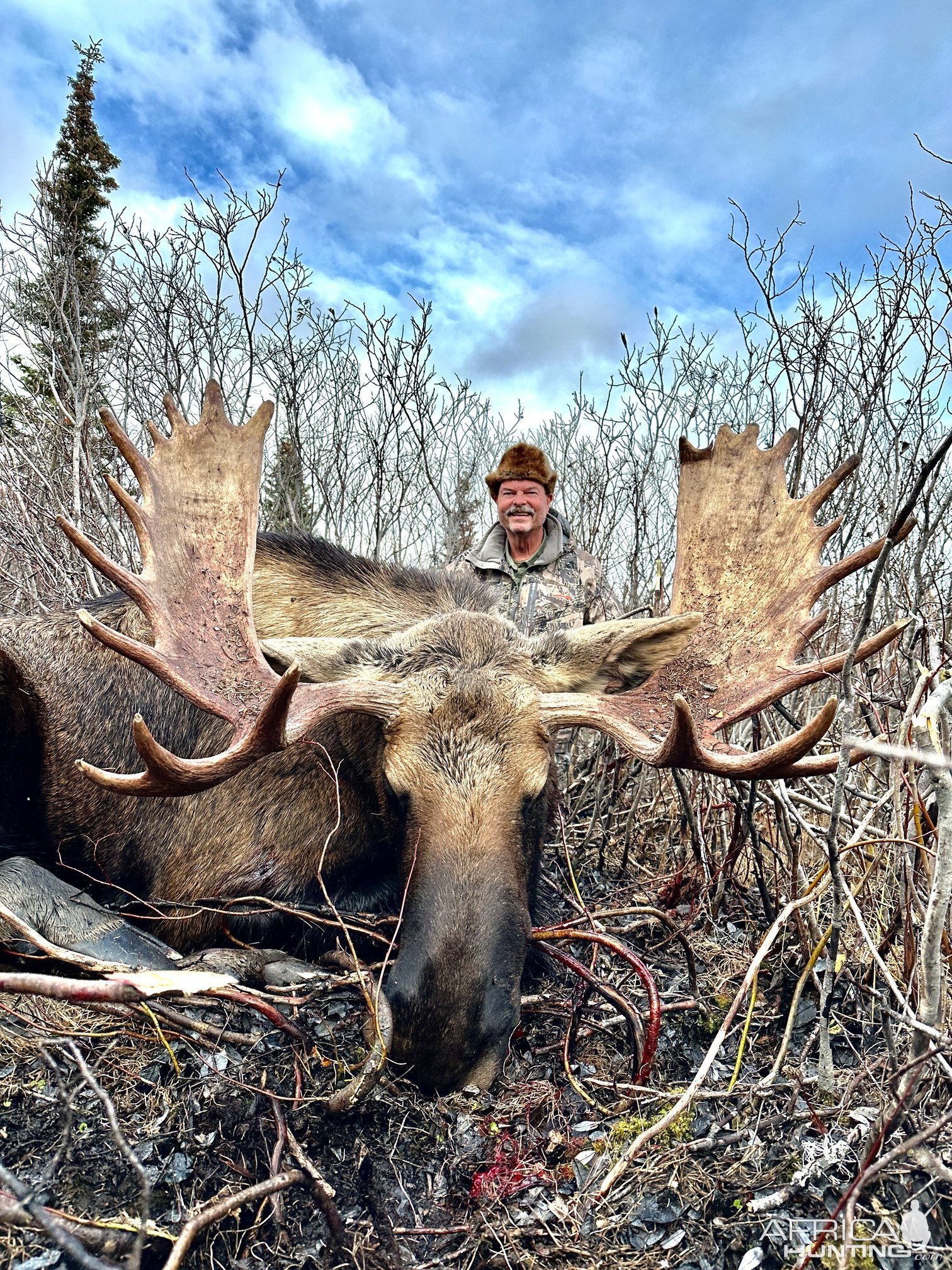 Canadian Moose Hunt