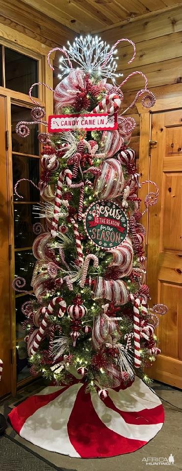 Candy Cane Themed Christmas Tree