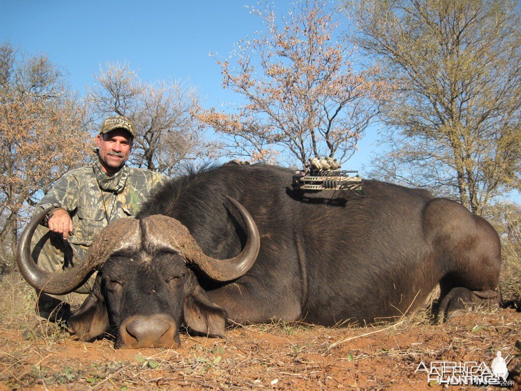 Cape Buffalo - Archery Hunt - 1 Arrow