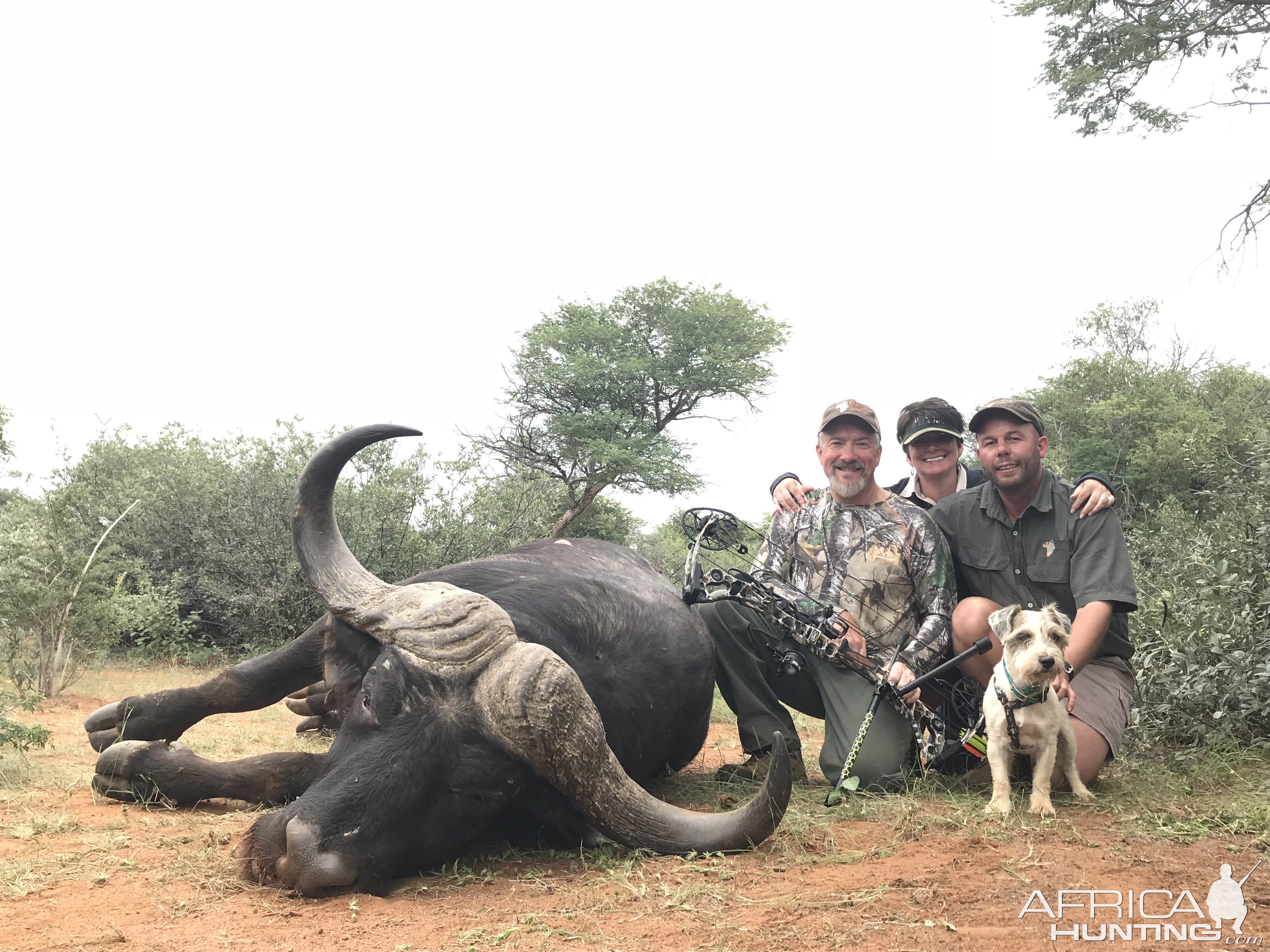 Cape Buffalo Bow Hunt in South Africa