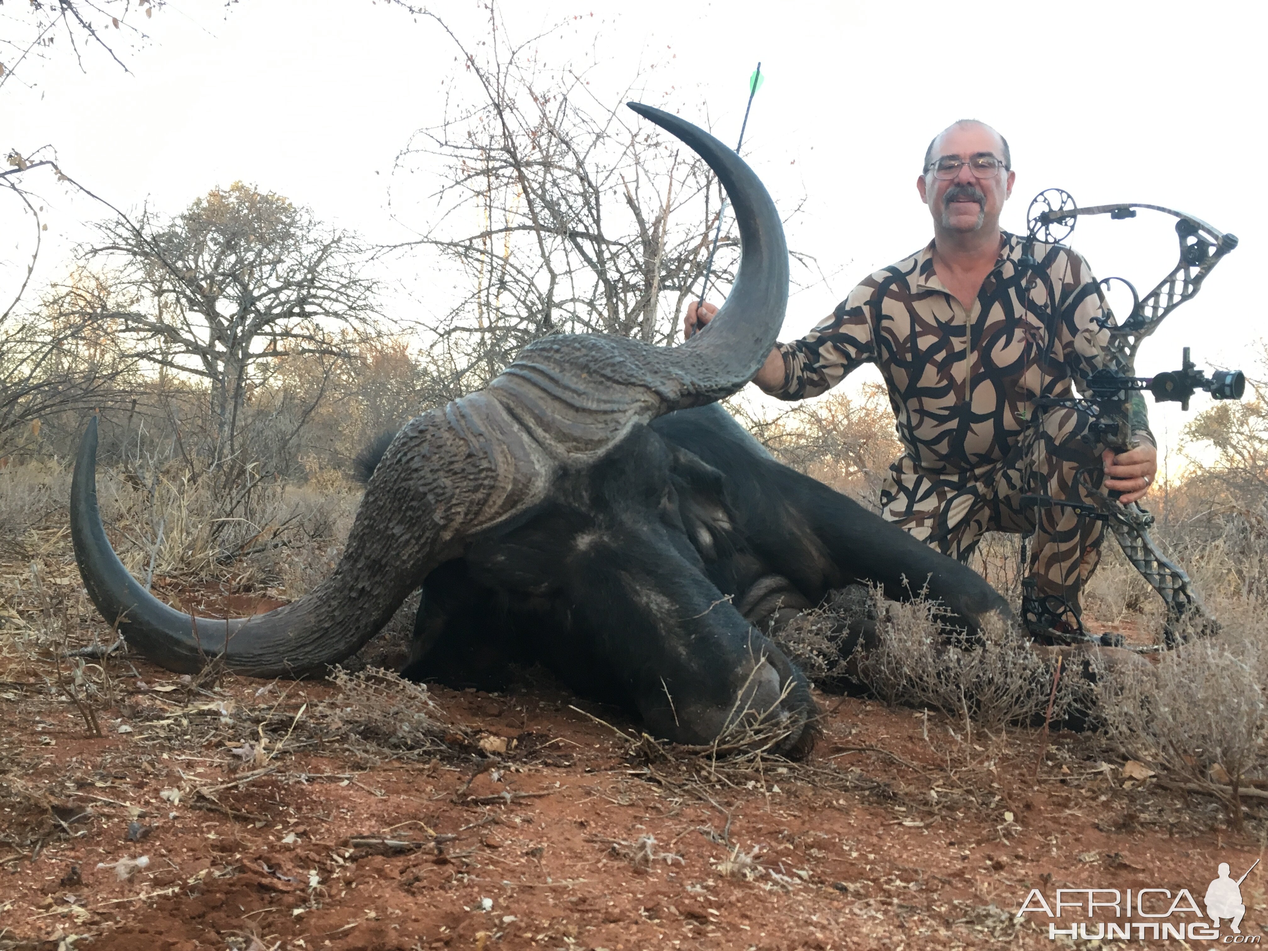 Cape Buffalo Bow Hunt South Africa