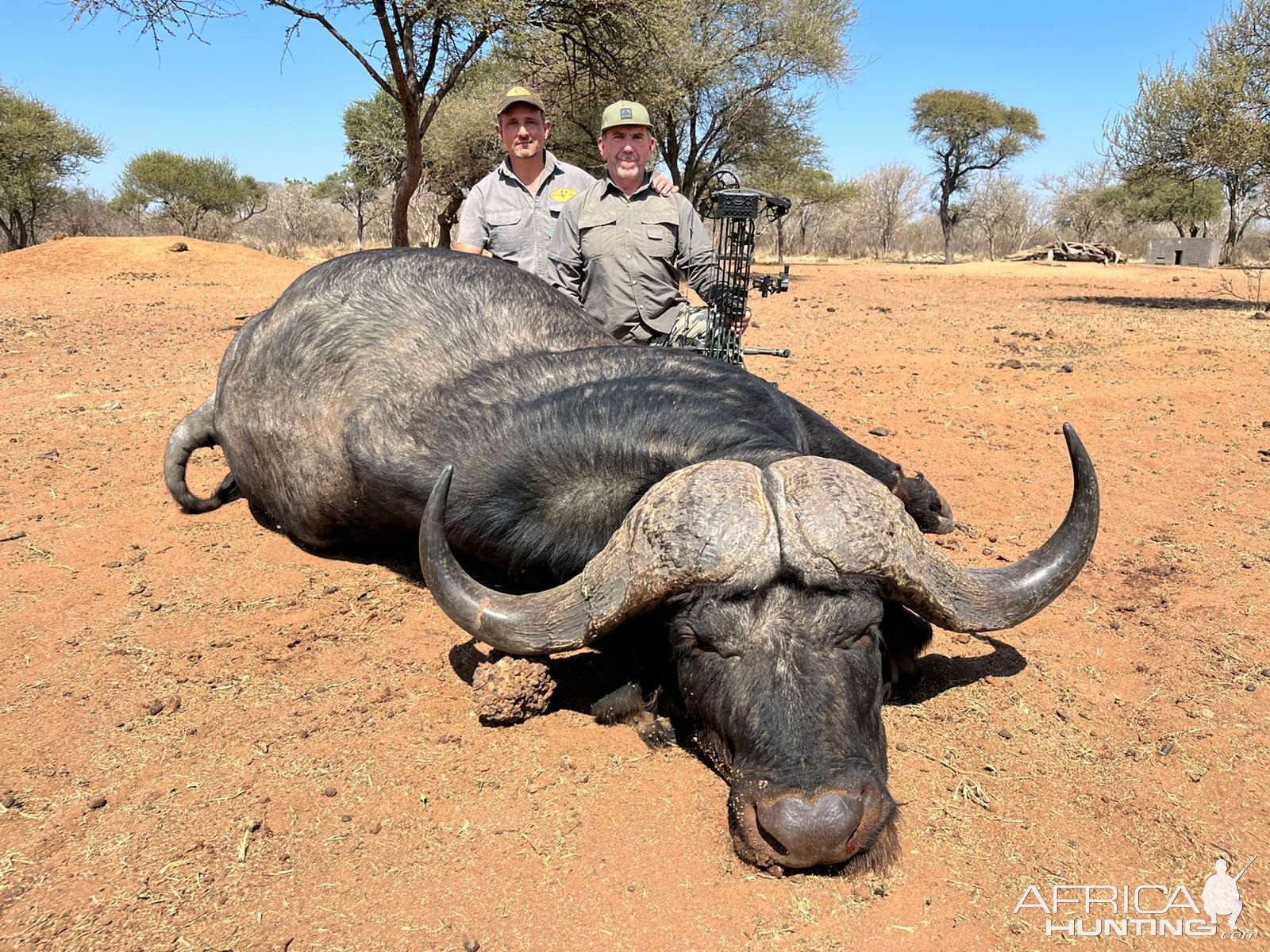 Cape Buffalo Bow Hunt South Africa