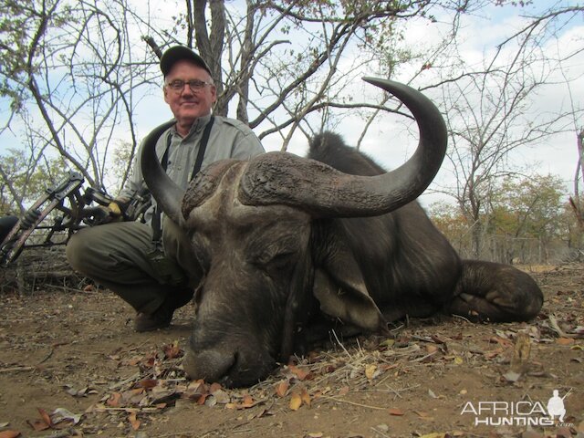 Cape Buffalo Bow Hunt